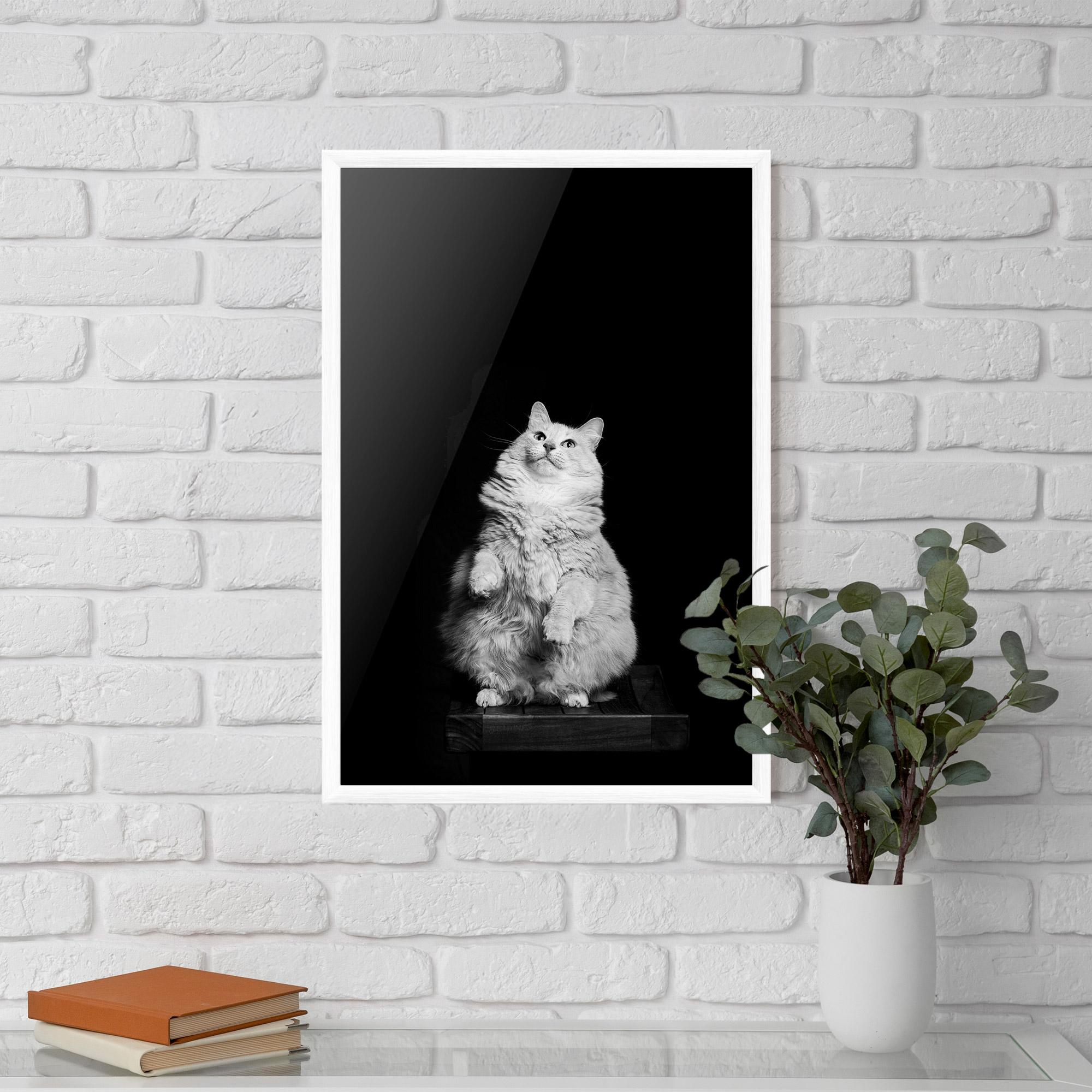 Keretezett Poszter Big Fluffy Cat mockup 5
