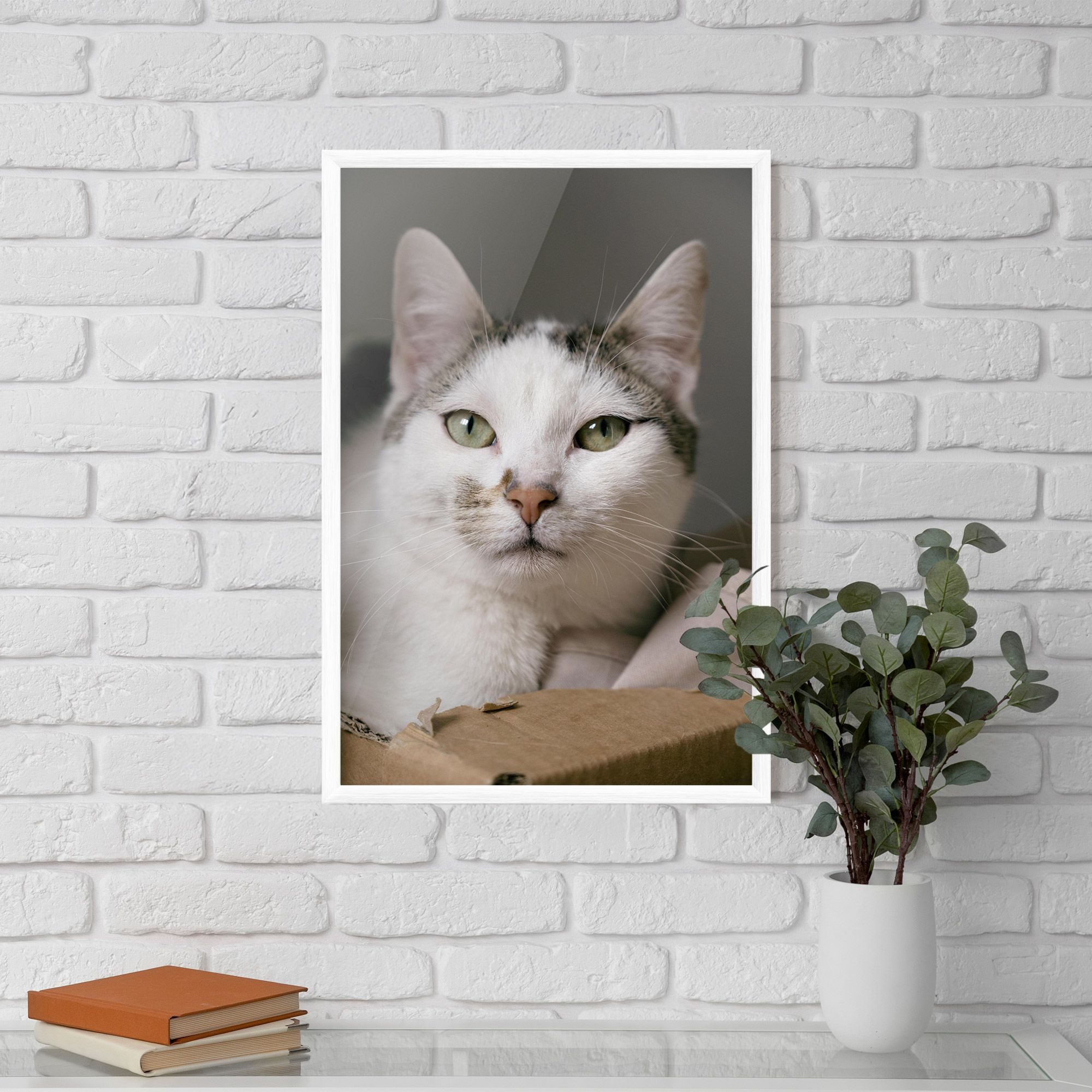 Big Sleepy Cat mockup 5