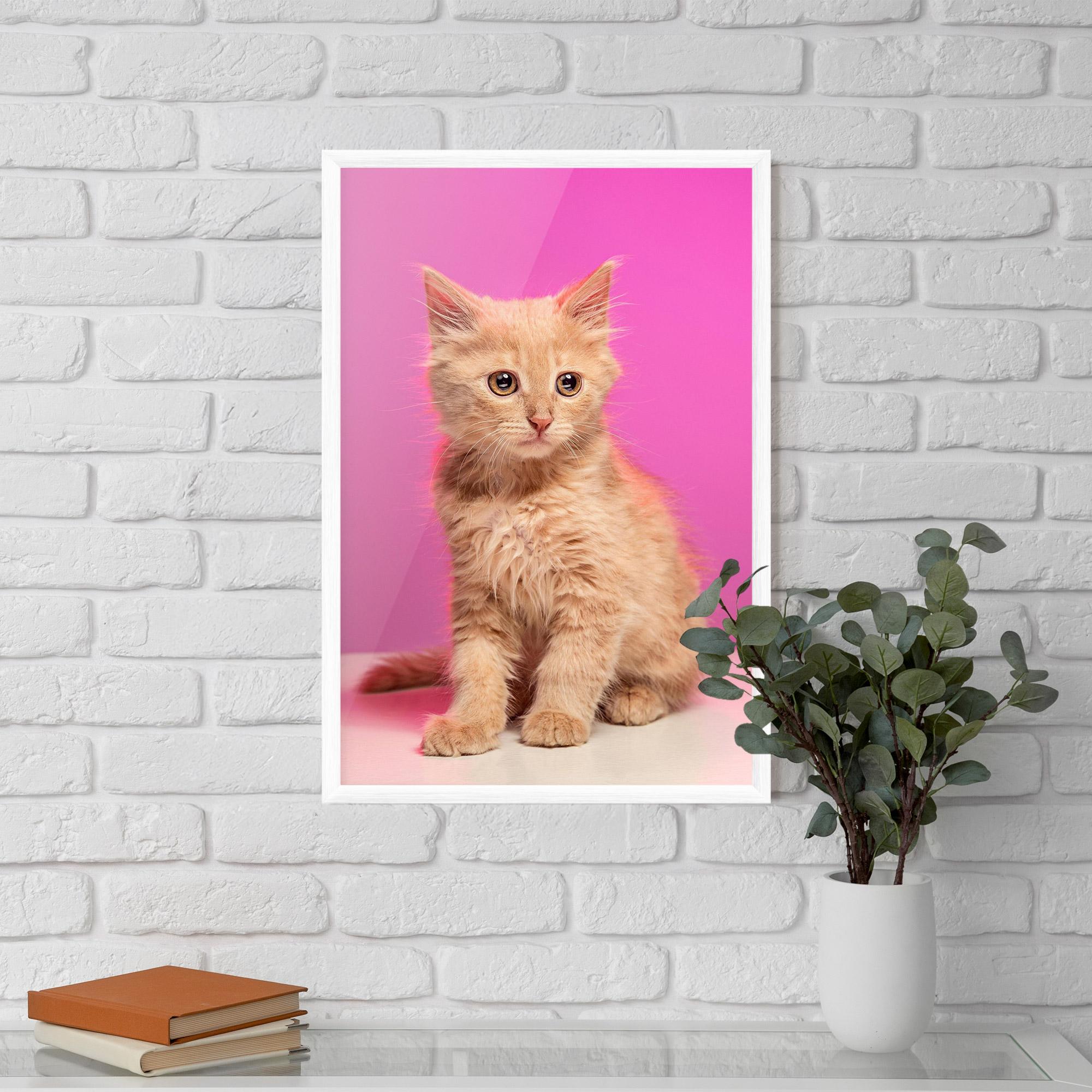 Keretezett Poszter Orange Cat On Pink mockup 5
