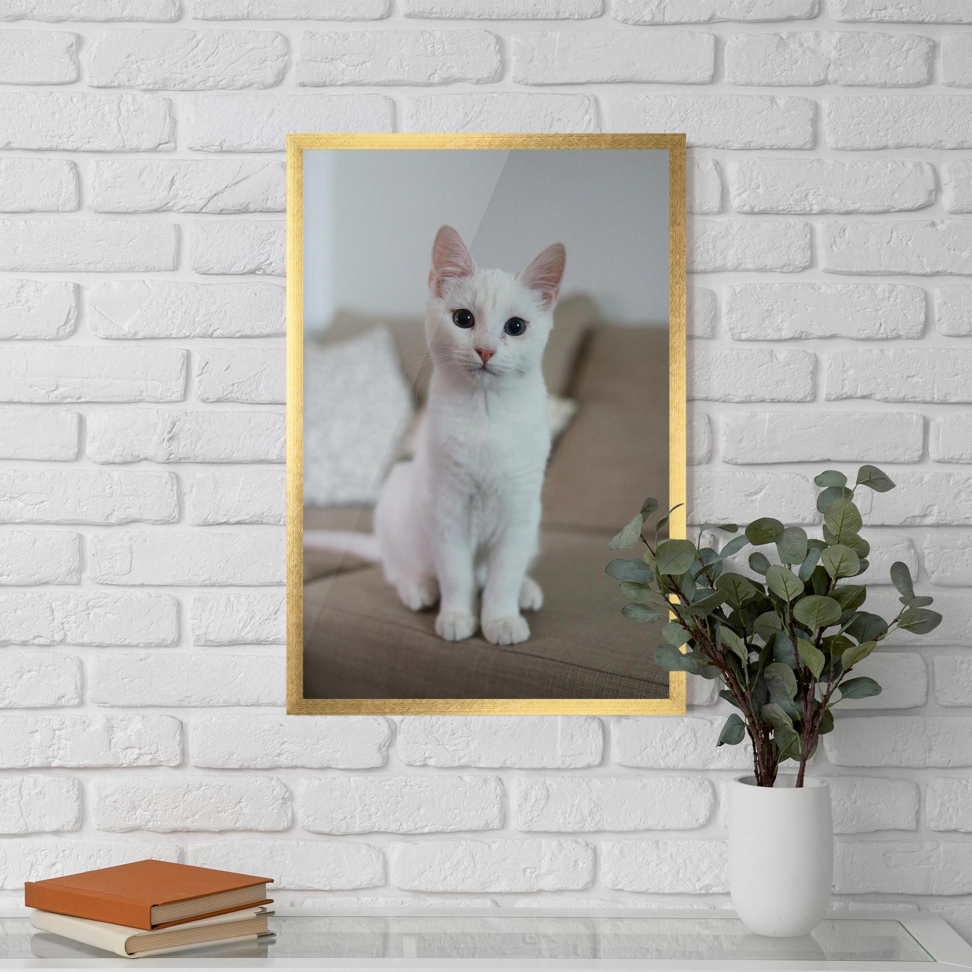 Keretezett Poszter Beautiful White Cat mockup 5