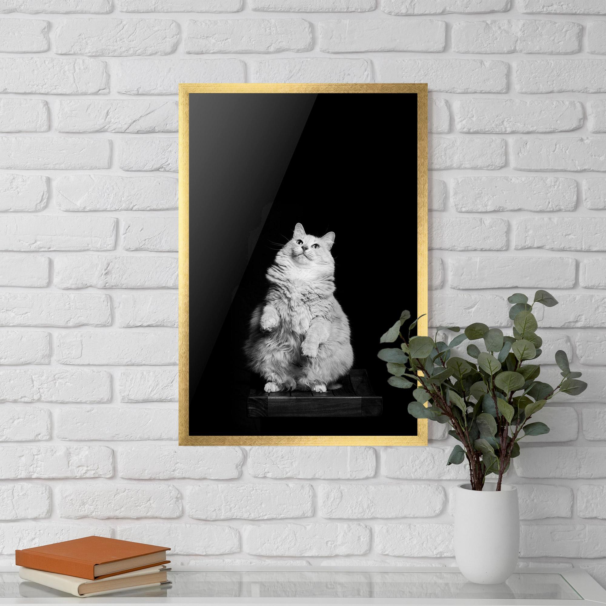 Keretezett Poszter Big Fluffy Cat mockup 5