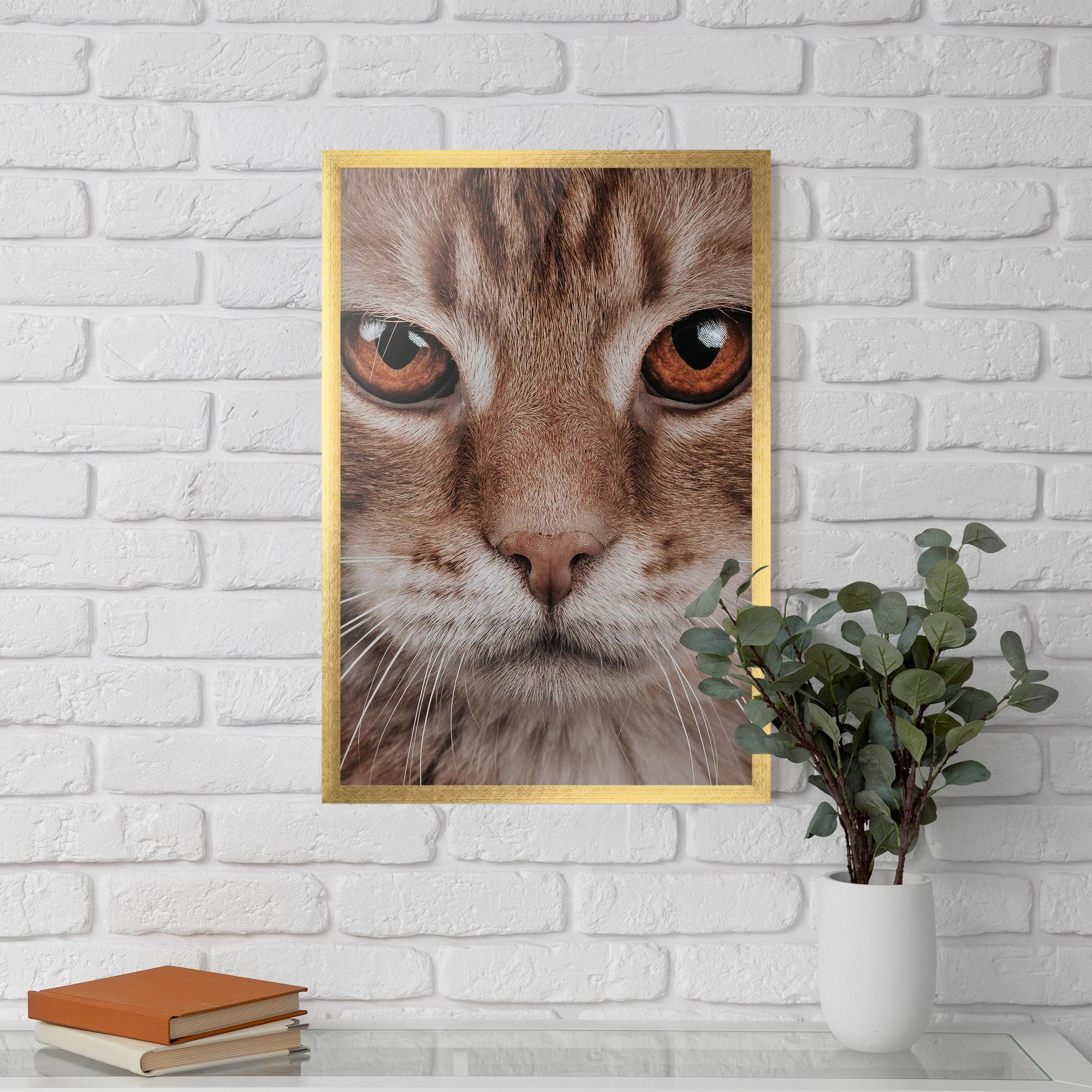 Keretezett Poszter Fire Eyes Cat mockup 5