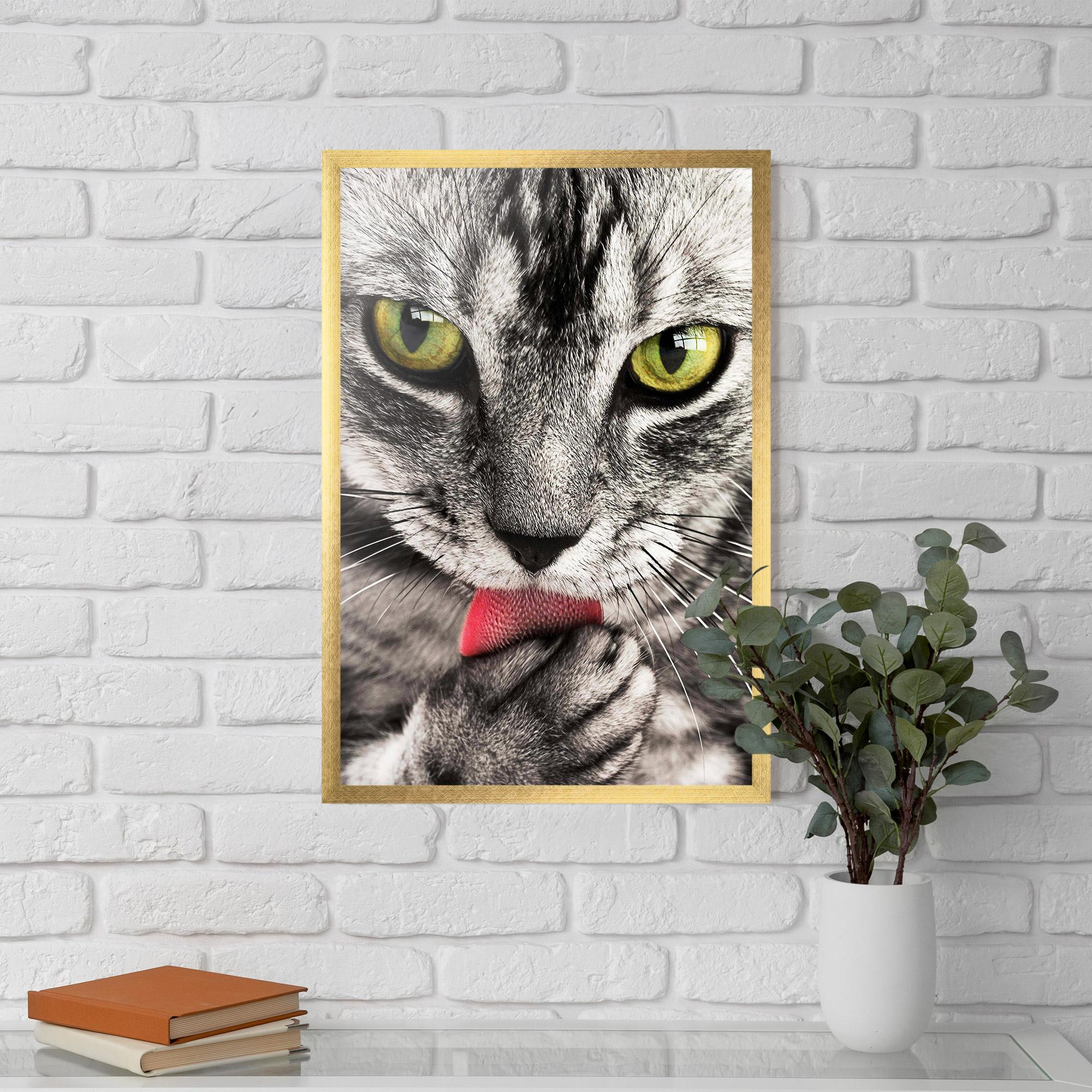 Keretezett Poszter Green Eyes Close Up Cat mockup 5