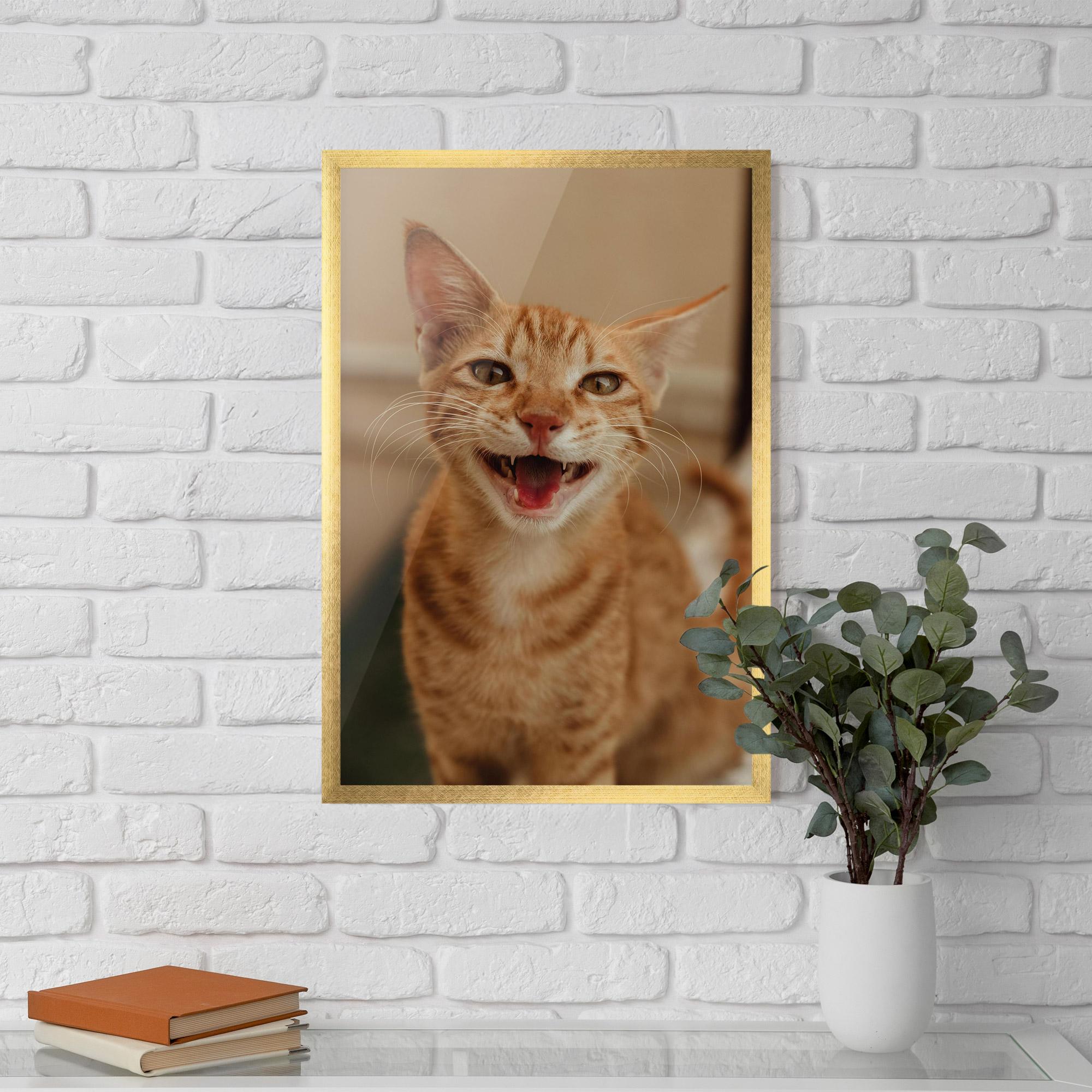 Keretezett Poszter Orange Cat Smiling mockup 5