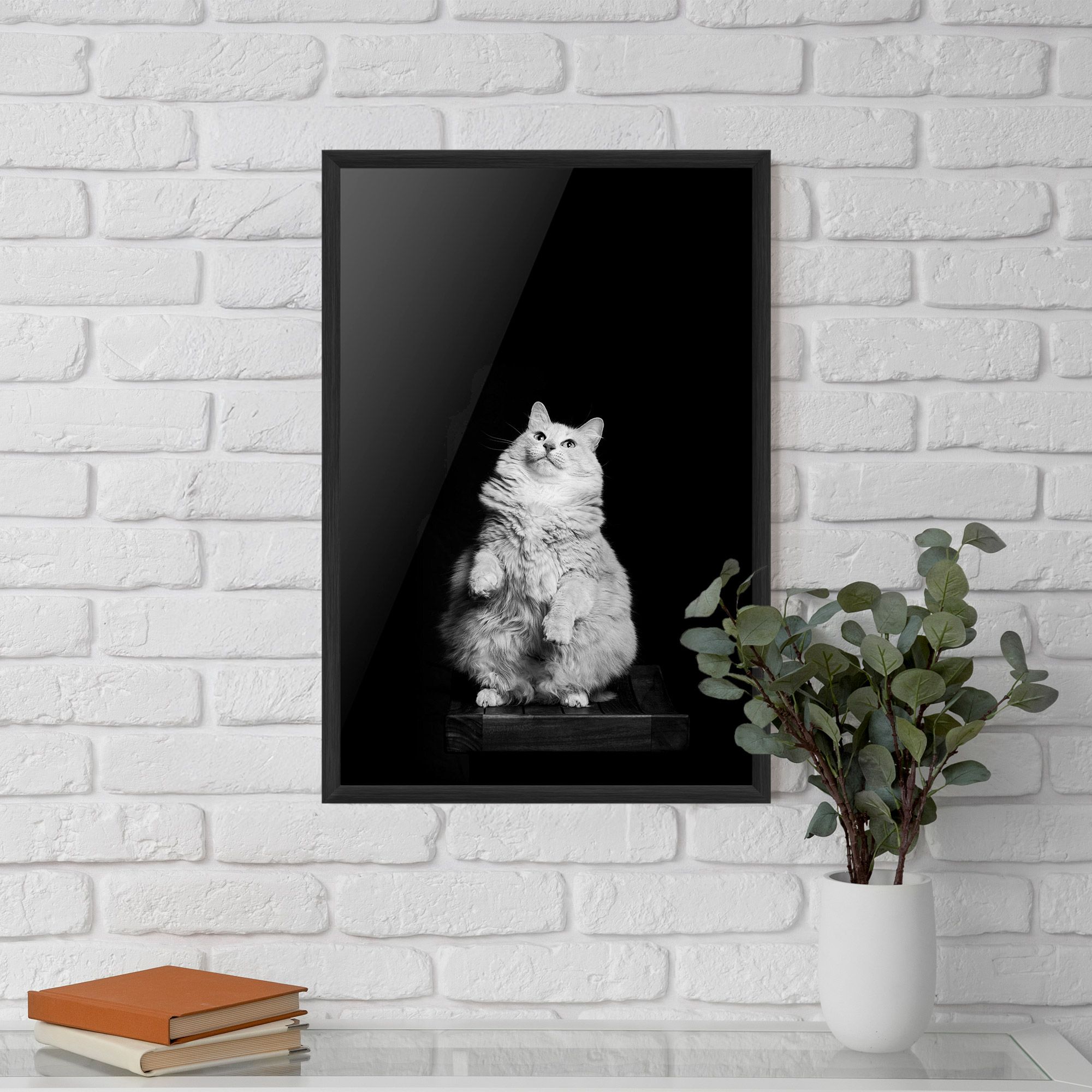 Big Fluffy Cat mockup 5