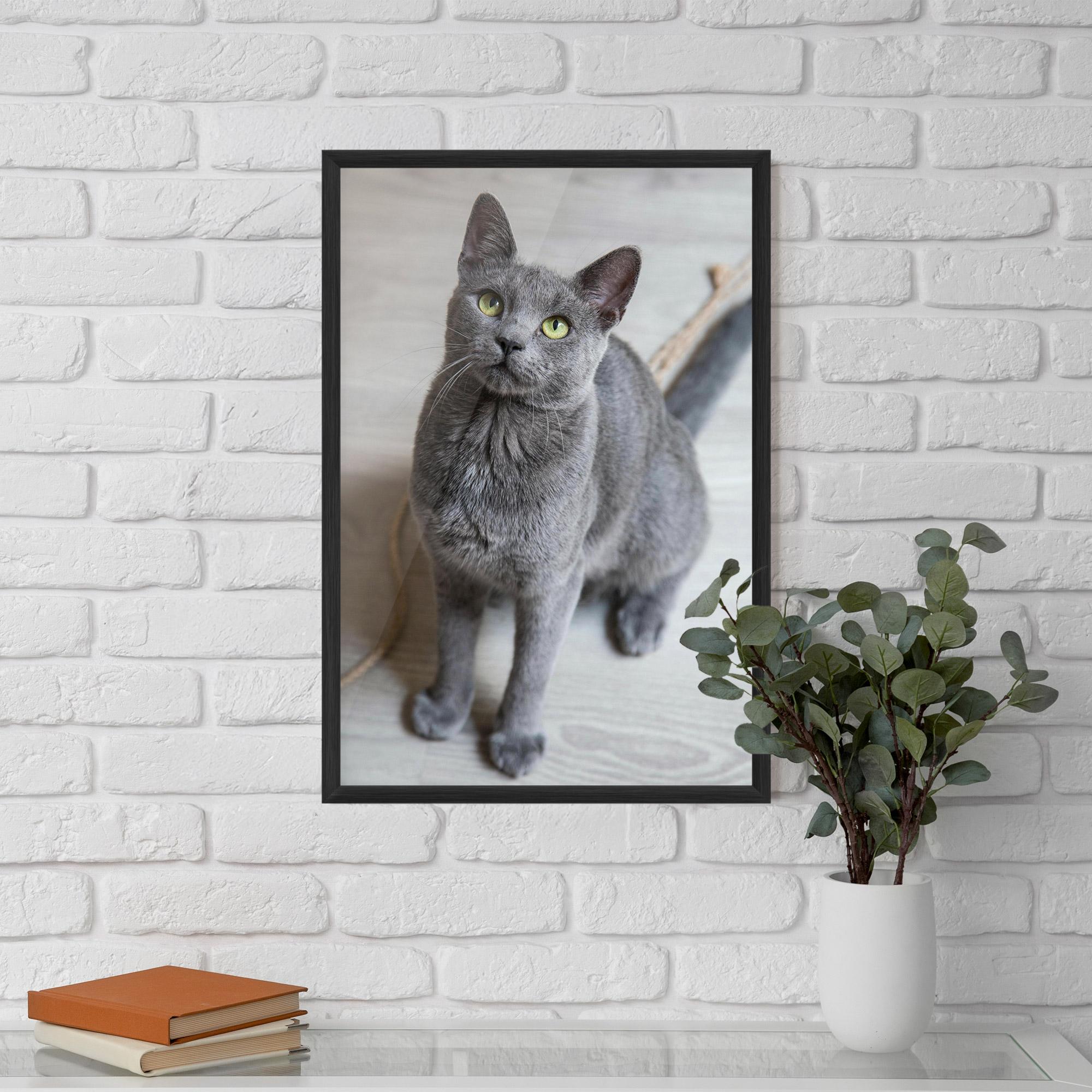 Keretezett Poszter Grey Green Cat Eyes mockup 5