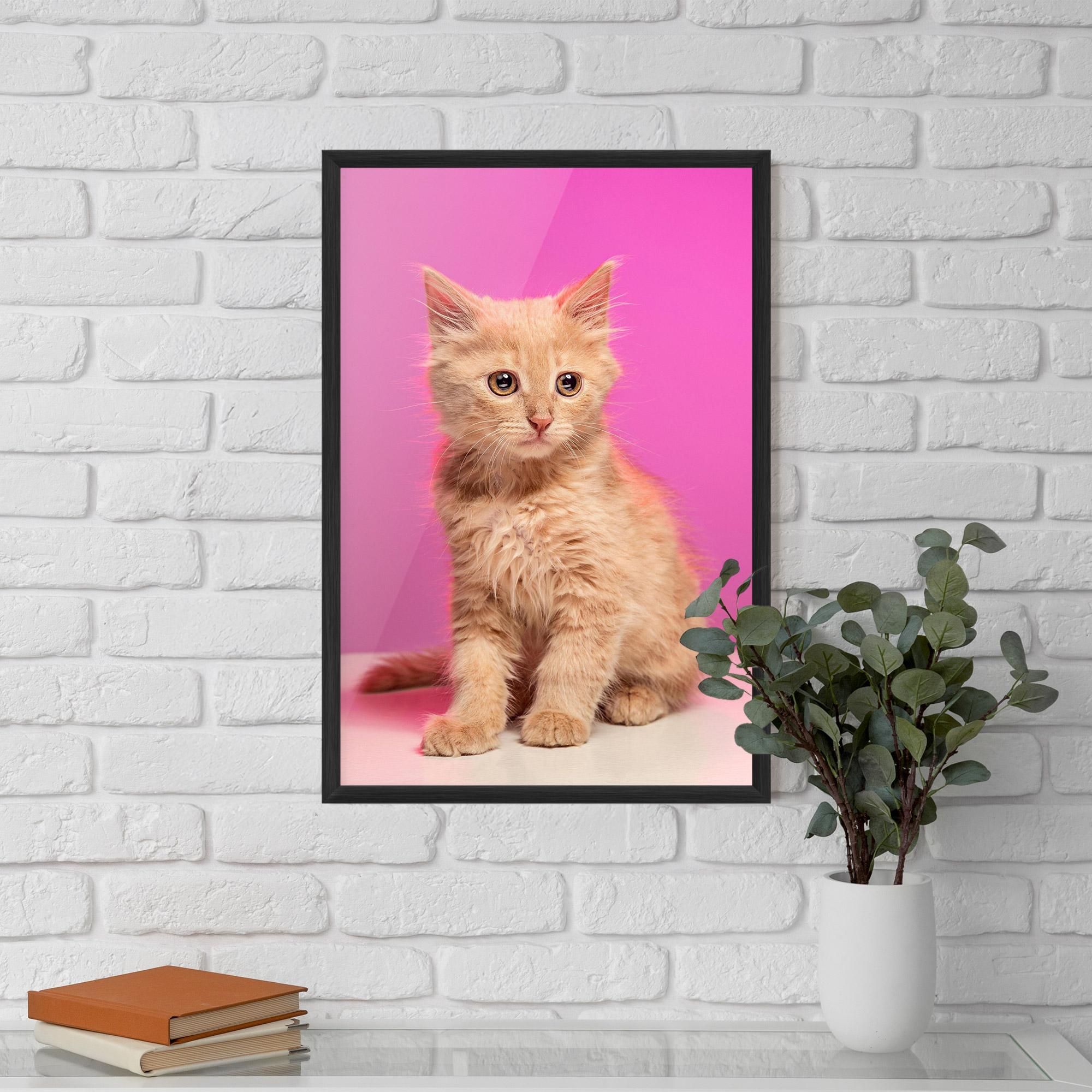 Keretezett Poszter Orange Cat On Pink mockup 5