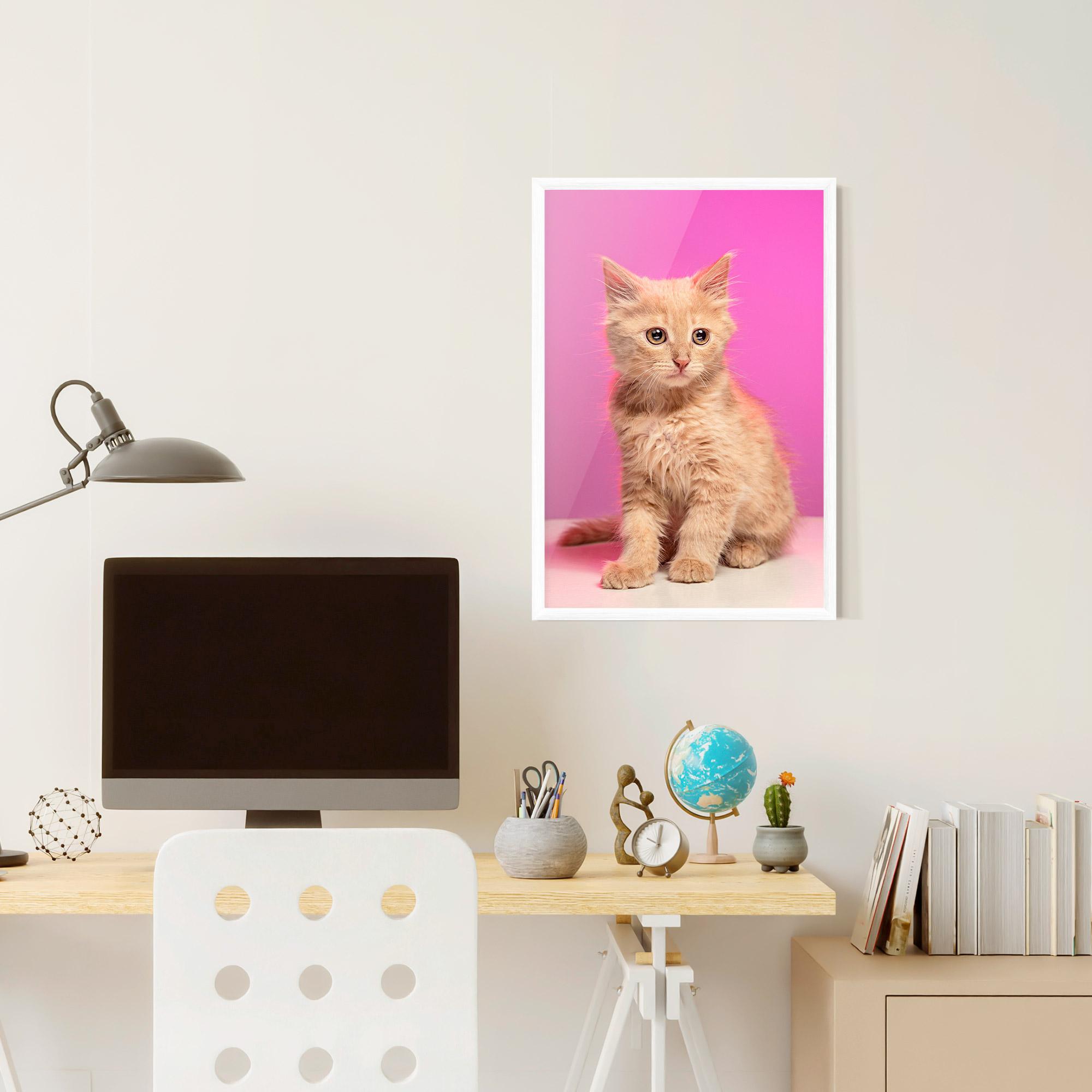 Keretezett Poszter Orange Cat On Pink mockup 6