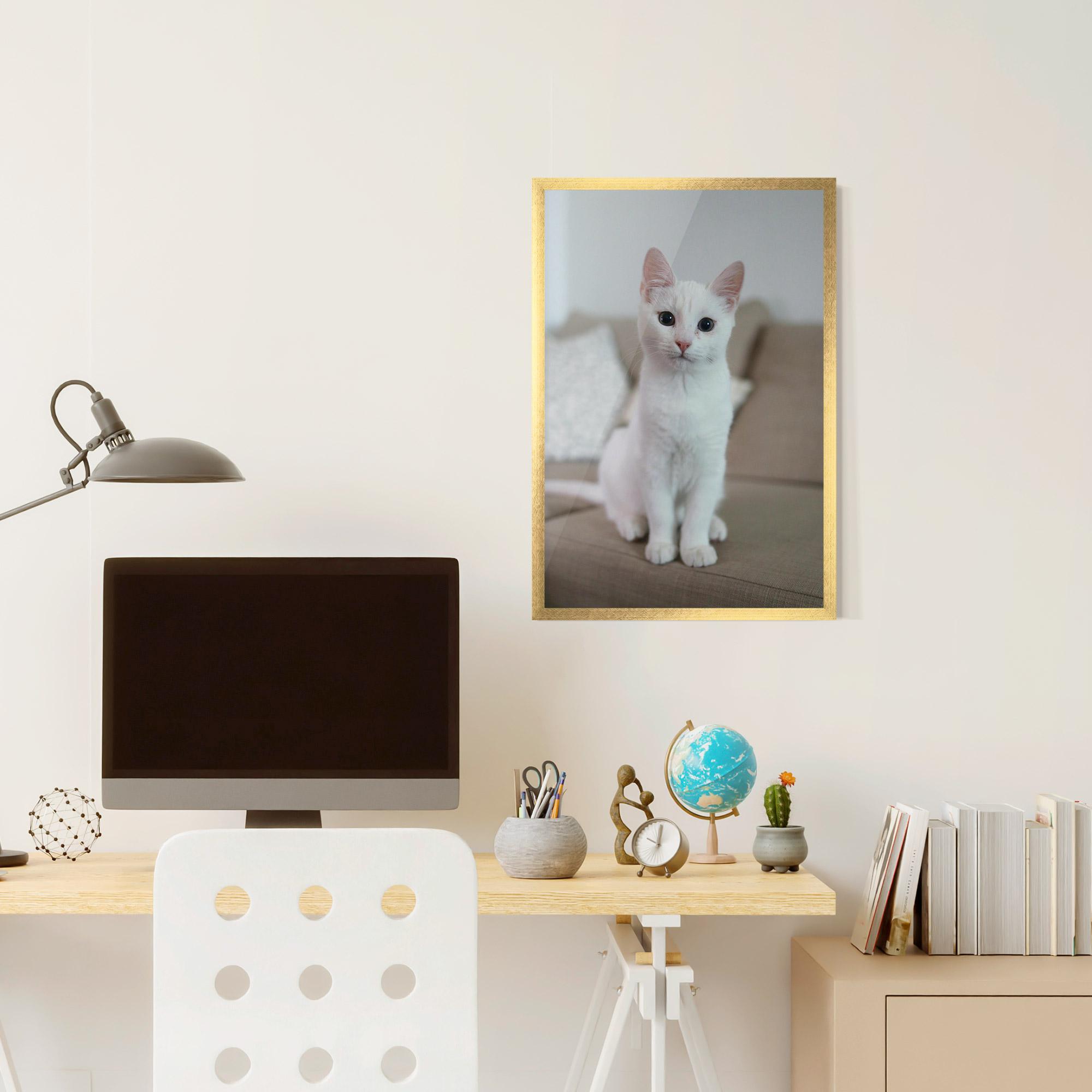 Keretezett Poszter Beautiful White Cat mockup 6