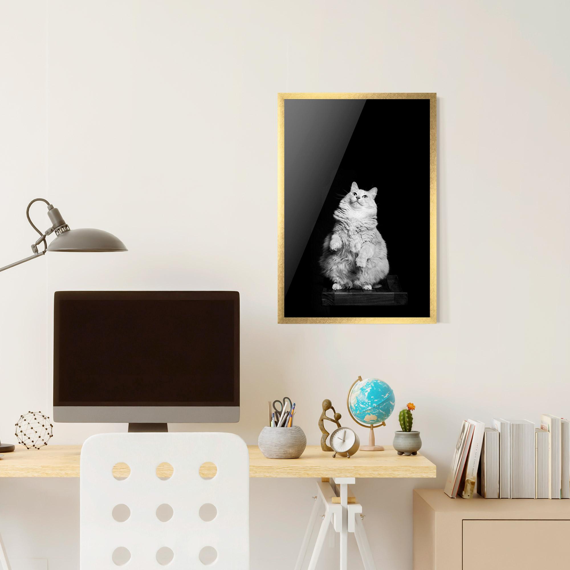 Keretezett Poszter Big Fluffy Cat mockup 6