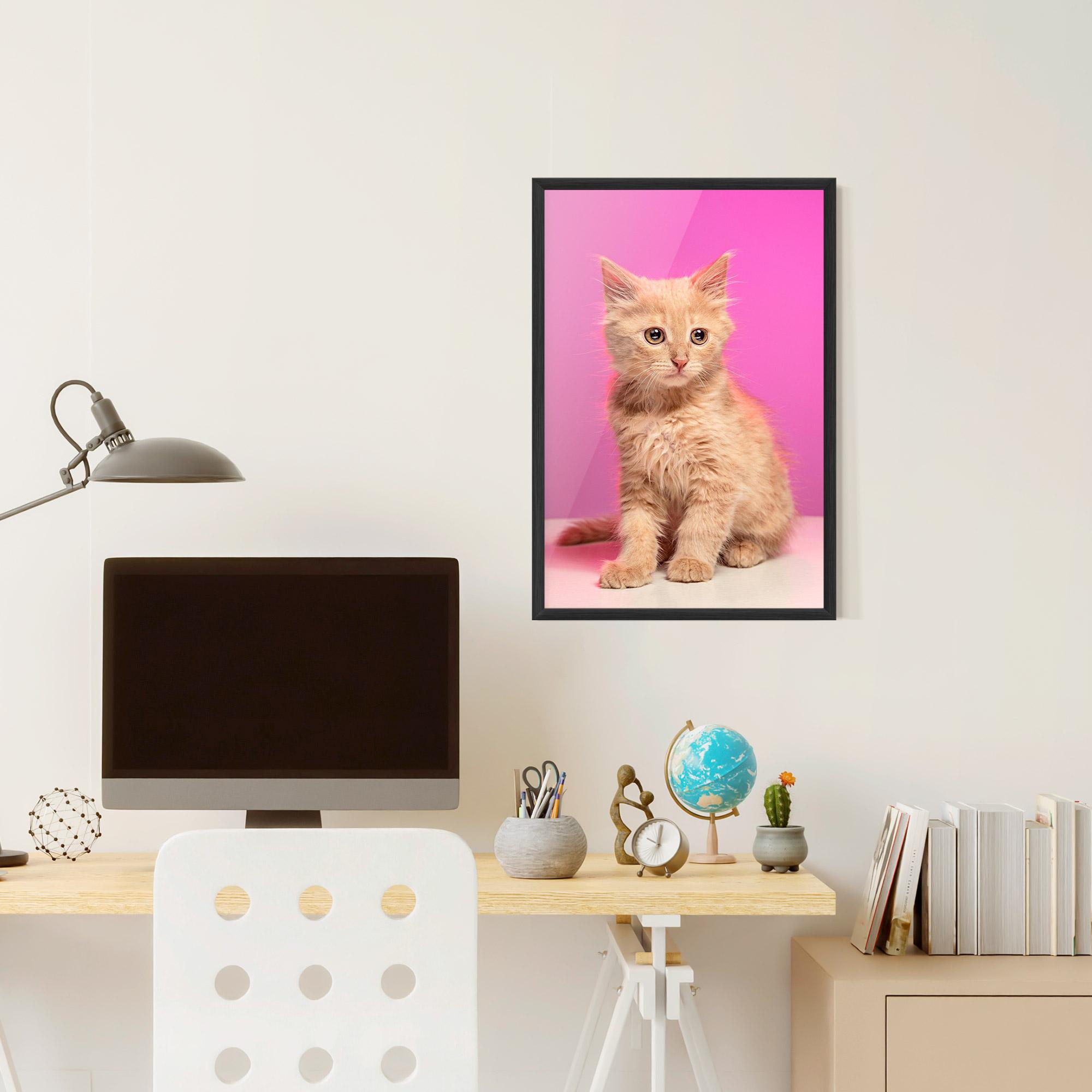 Keretezett Poszter Orange Cat On Pink mockup 6