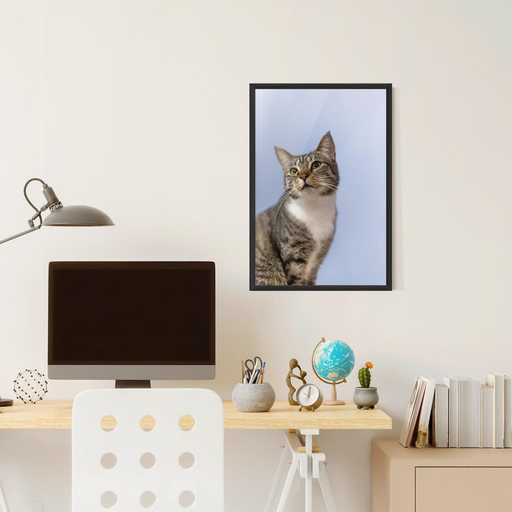 Keretezett Poszter Yellow Eyes Cat mockup 6