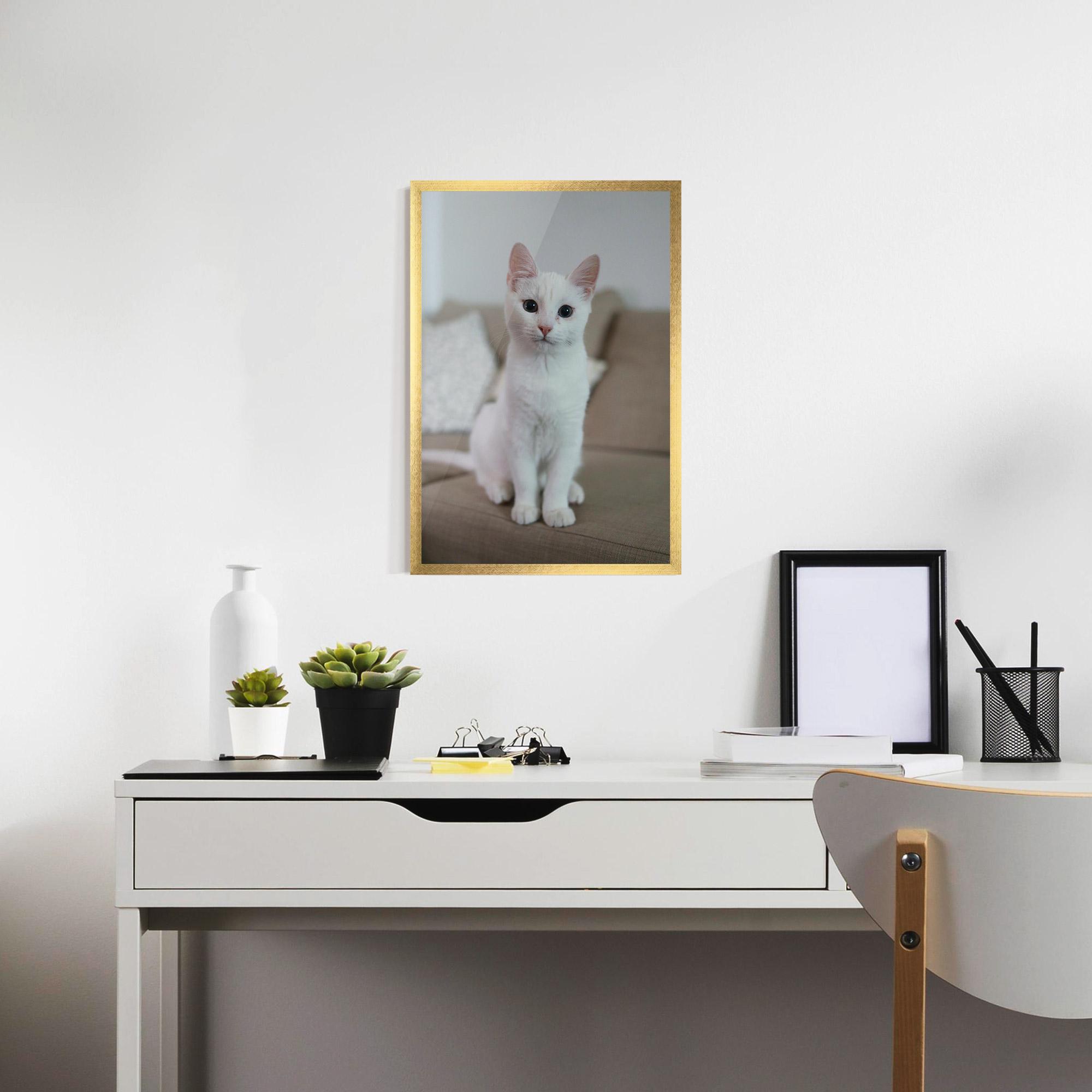 Keretezett Poszter Beautiful White Cat mockup 7