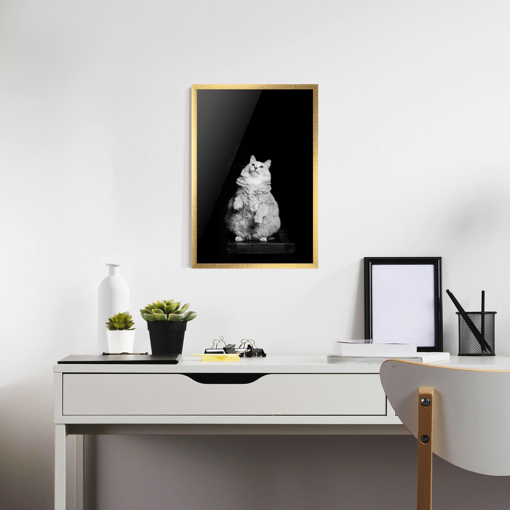 Keretezett Poszter Big Fluffy Cat mockup 7