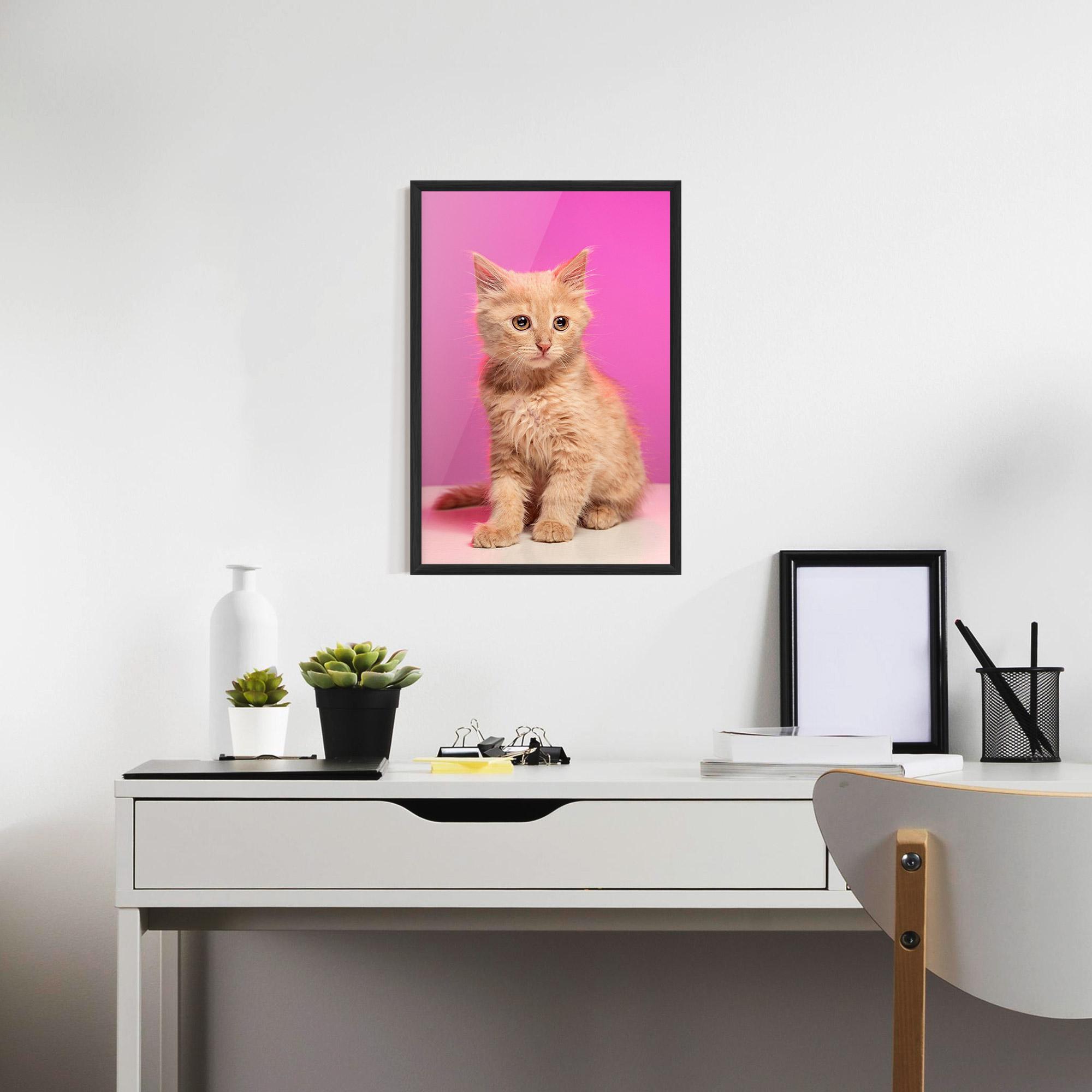 Keretezett Poszter Orange Cat On Pink mockup 7