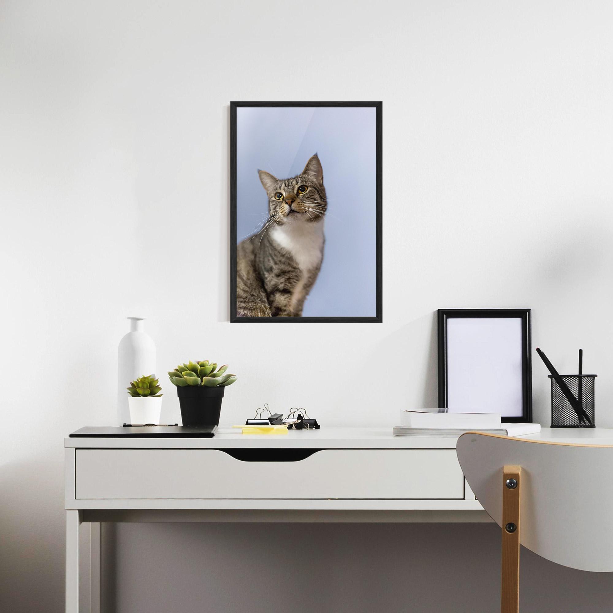 Keretezett Poszter Yellow Eyes Cat mockup 7