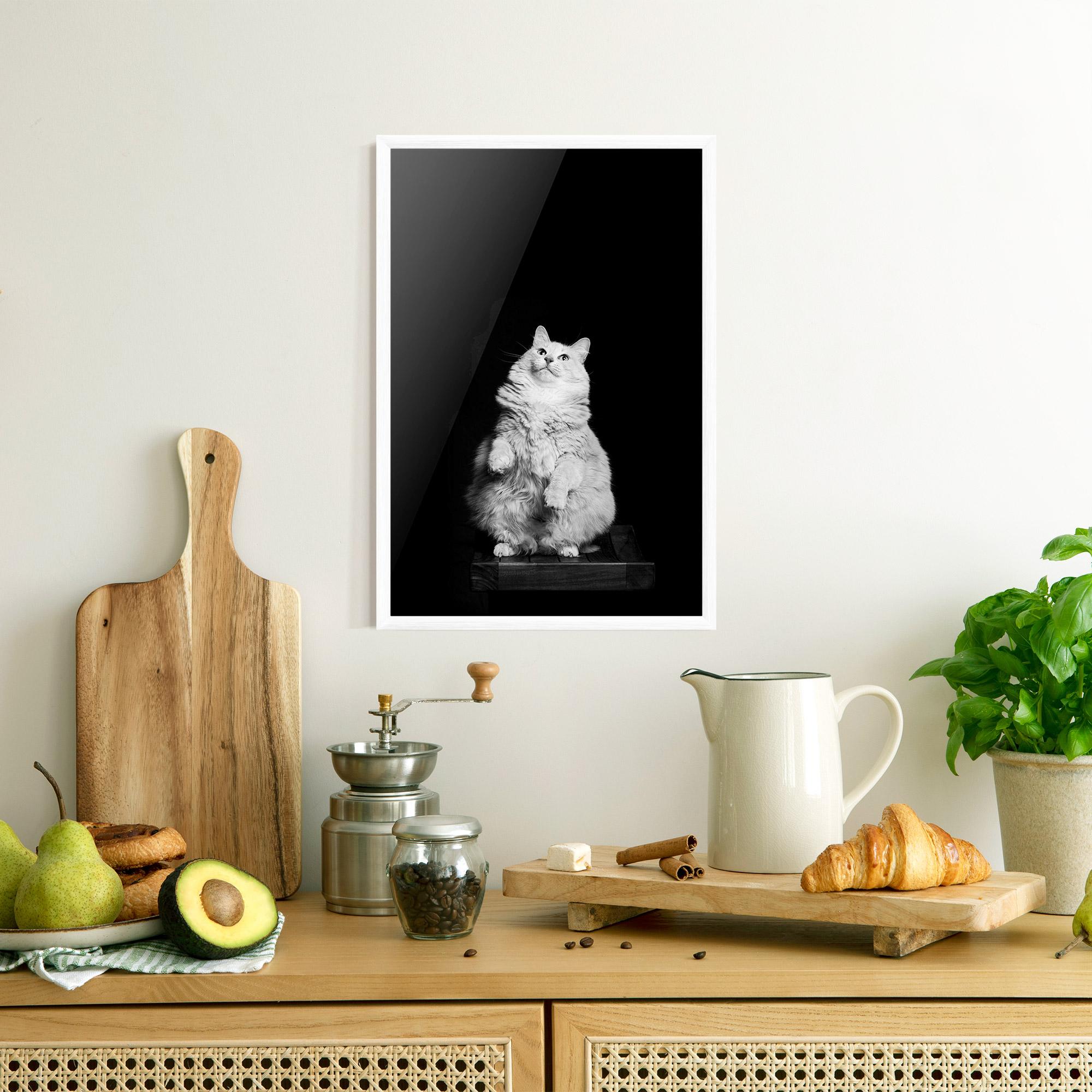 Keretezett Poszter Big Fluffy Cat mockup 8