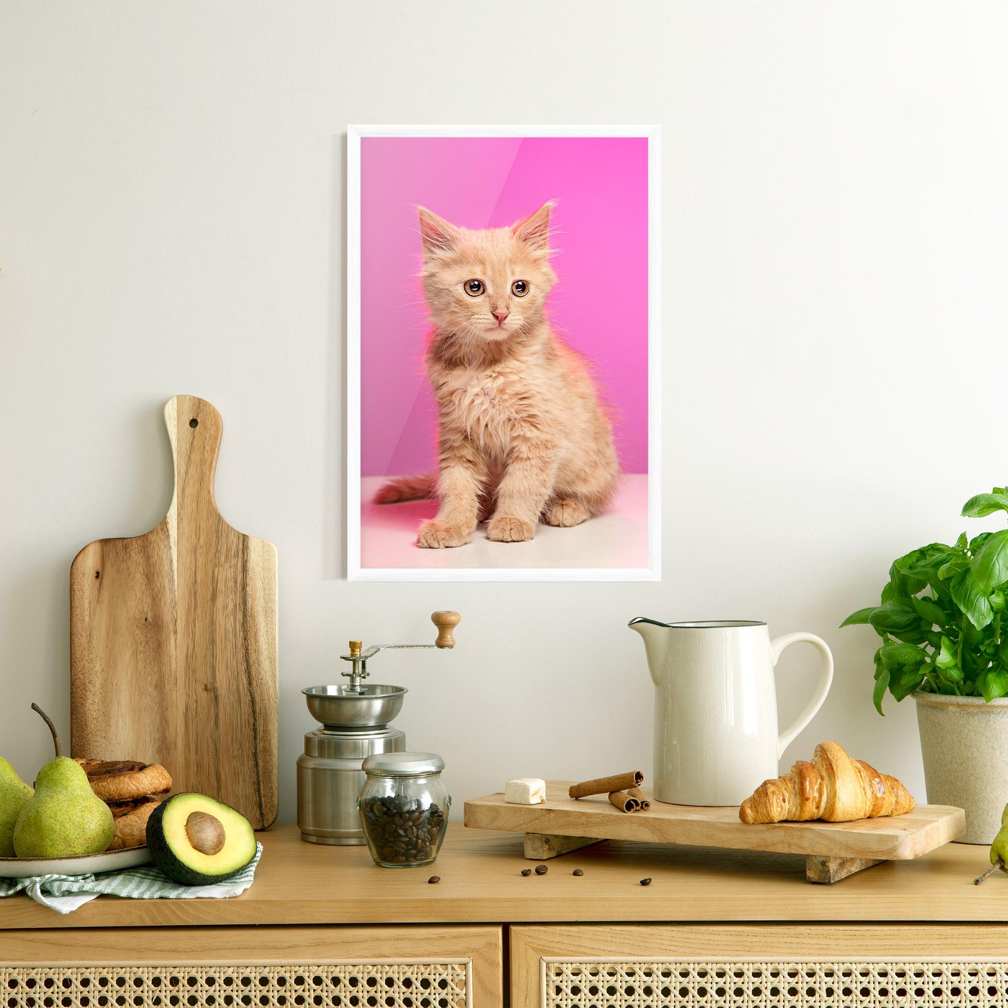 Keretezett Poszter Orange Cat On Pink mockup 8