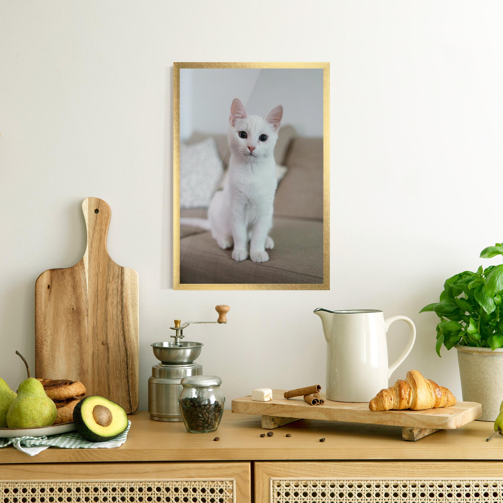 Keretezett Poszter Beautiful White Cat mockup 8