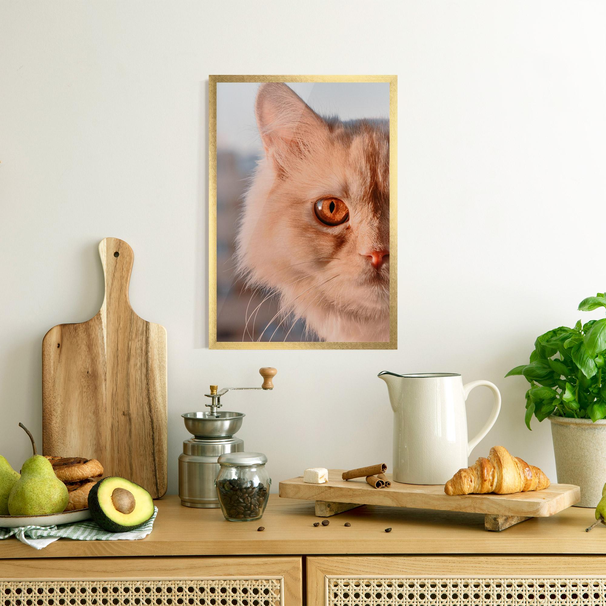 Keretezett Poszter Cat Eye In Sun mockup 8