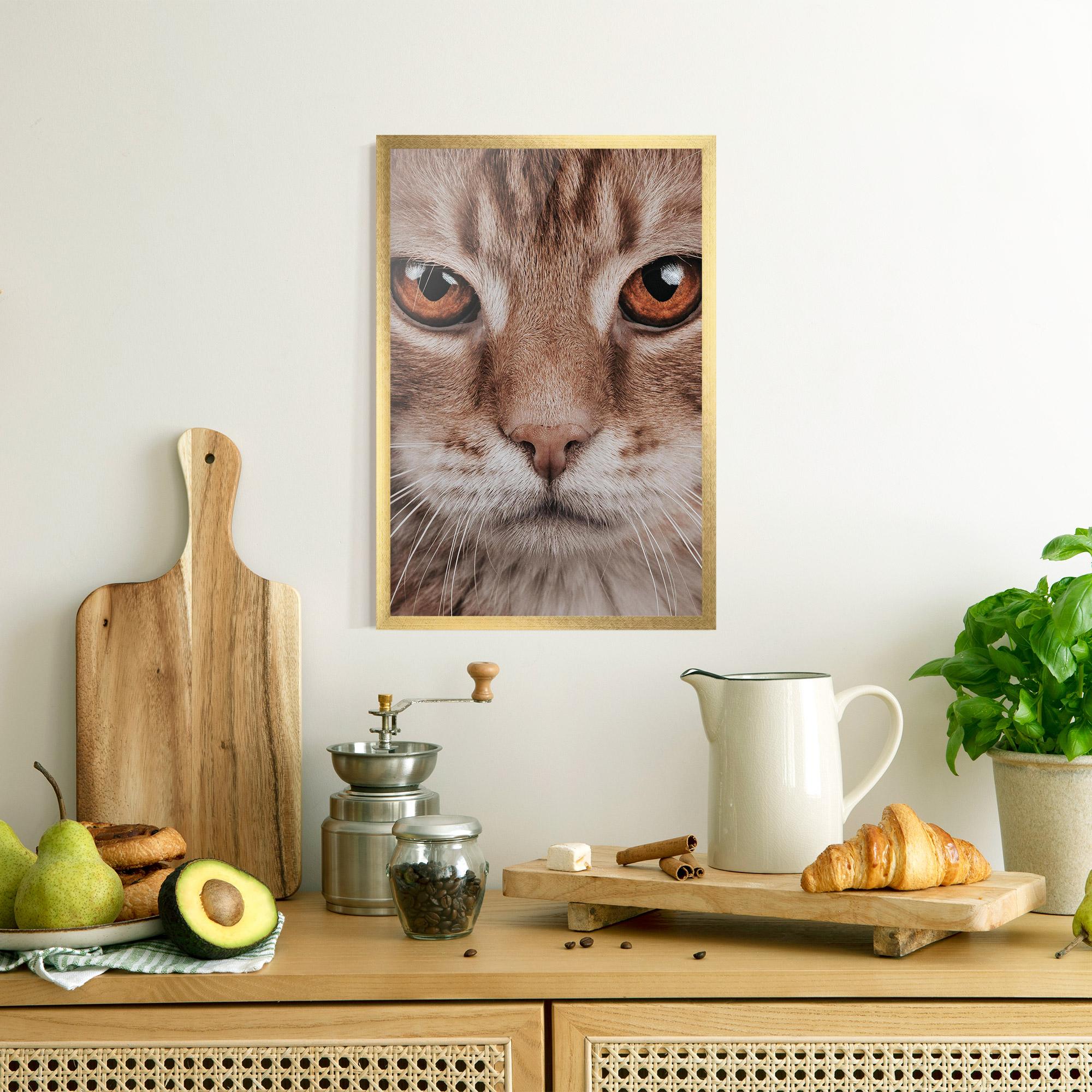 Keretezett Poszter Fire Eyes Cat mockup 8