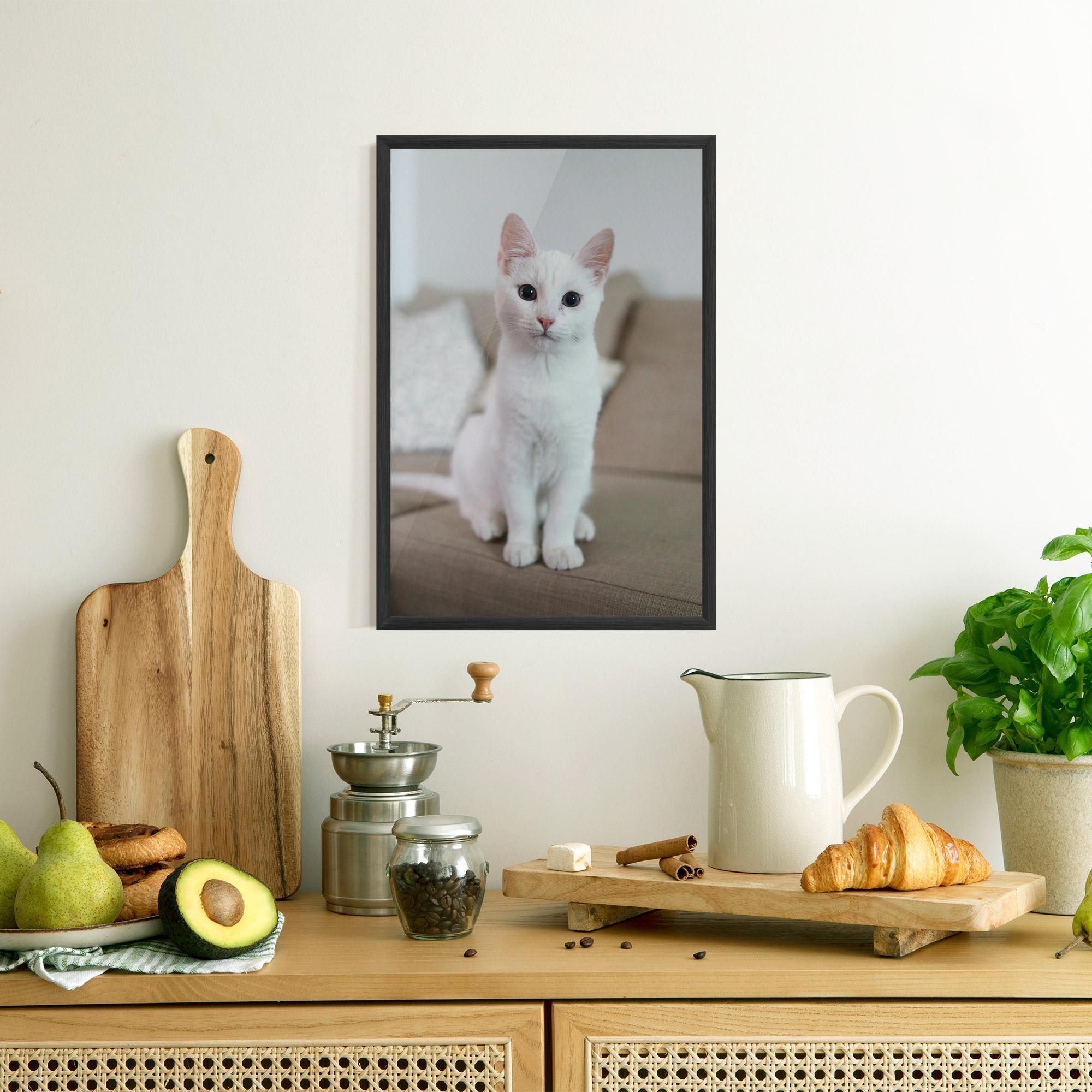 Keretezett Poszter Beautiful White Cat mockup 8