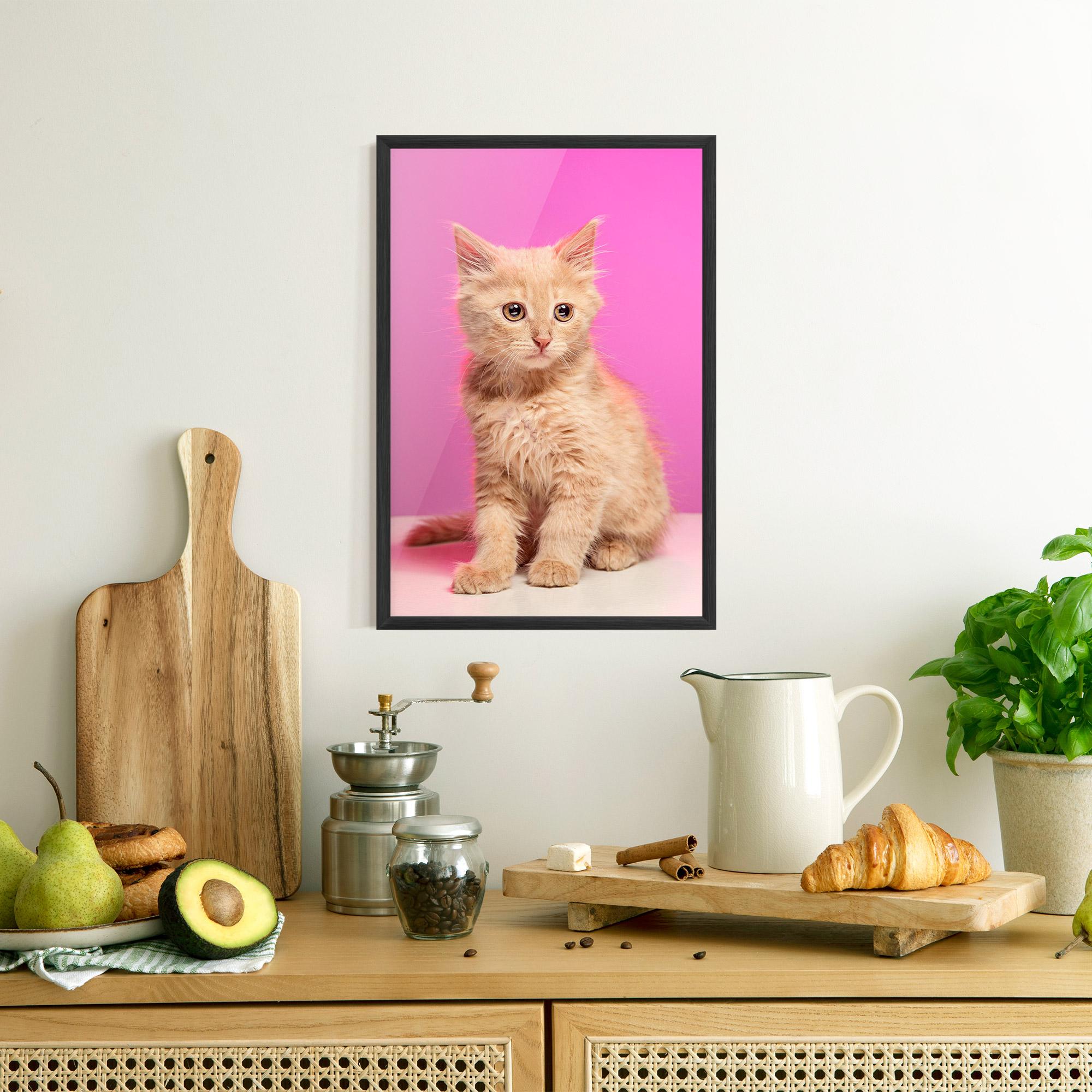 Keretezett Poszter Orange Cat On Pink mockup 8
