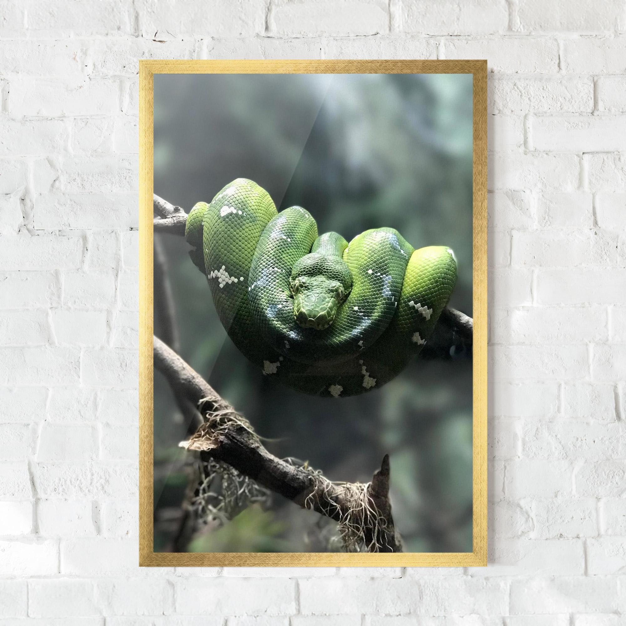 Keretezett Poszter Sleepy Snake mockup 0