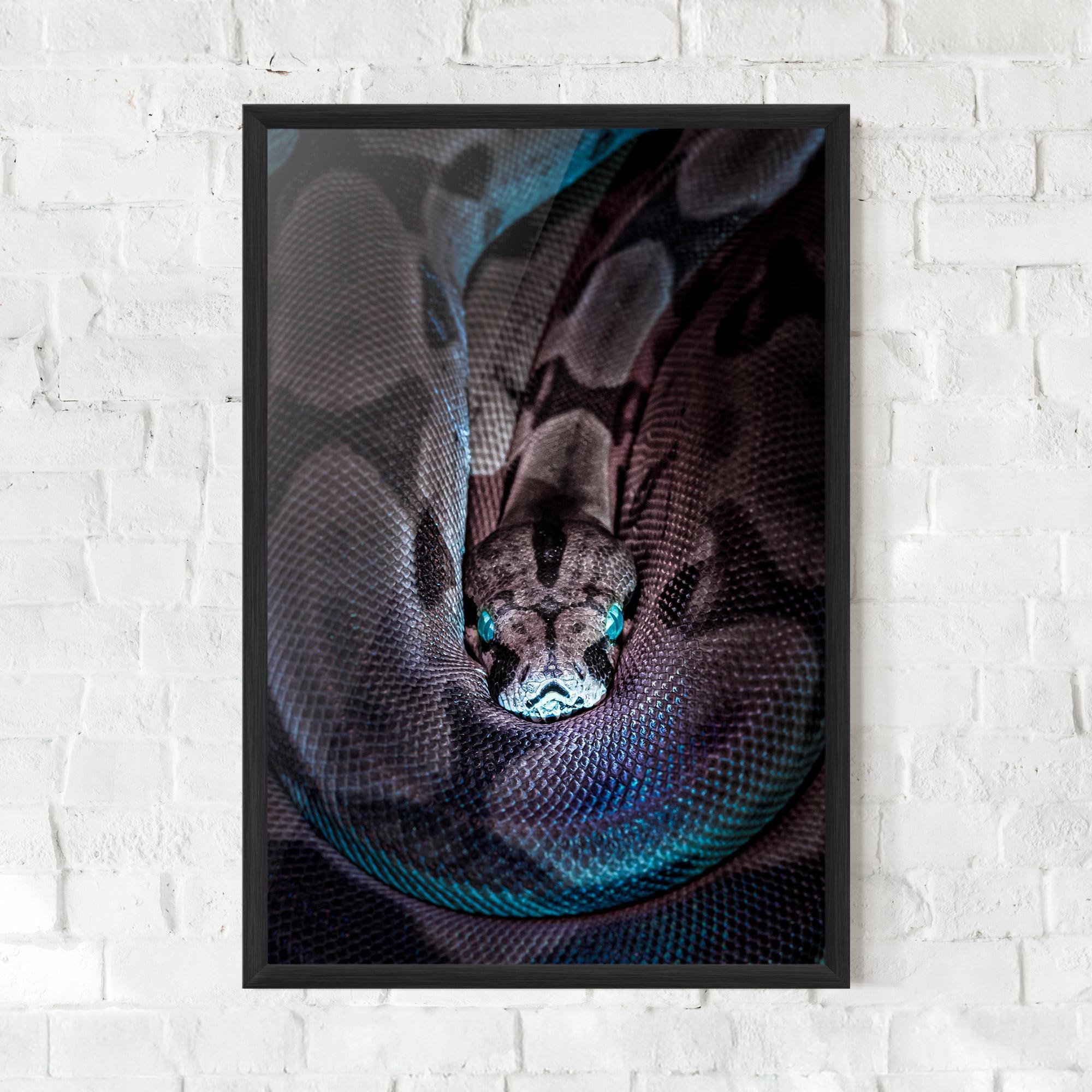 Keretezett Poszter Vibrant Snake mockup 0
