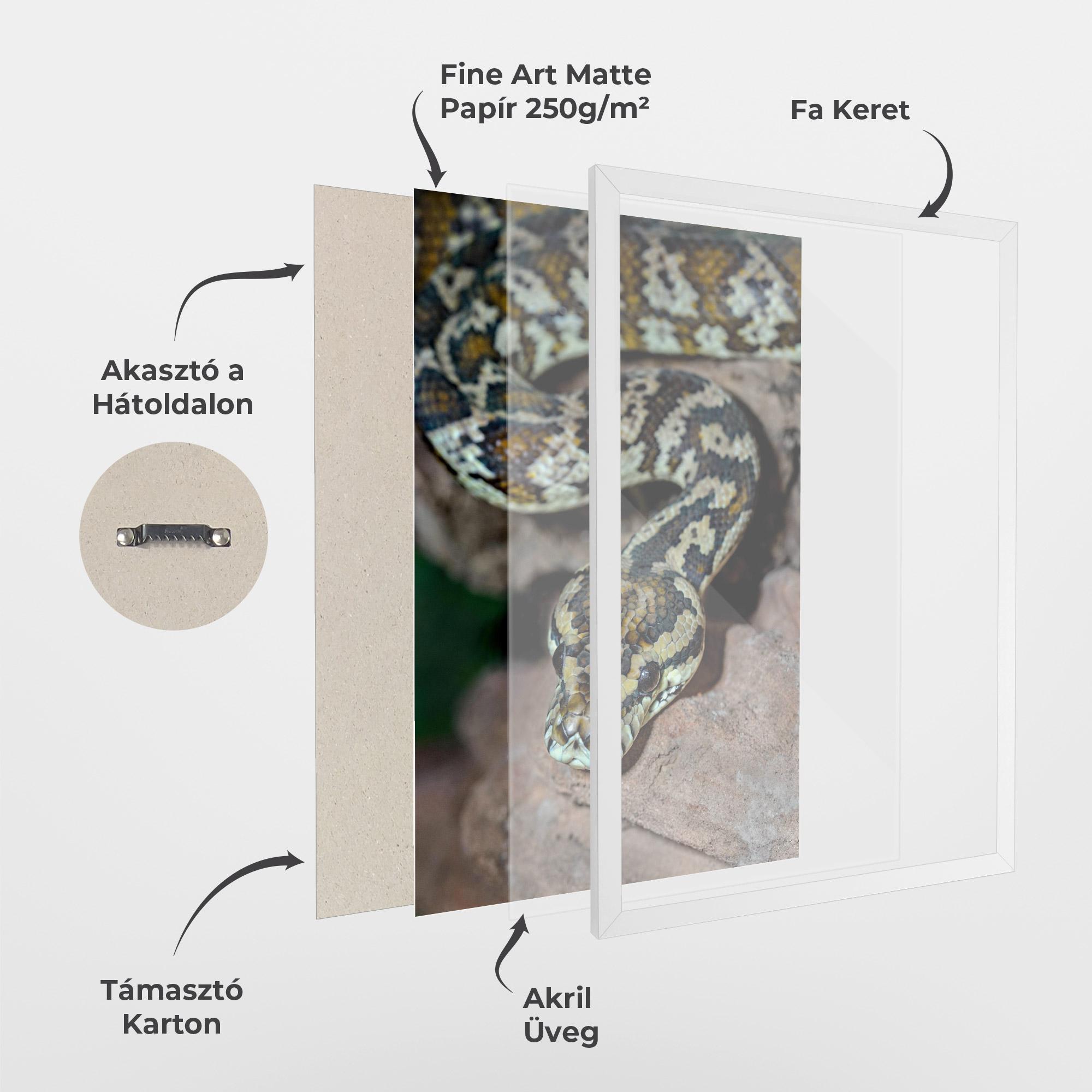 Keretezett Poszter King Snake mockup 1