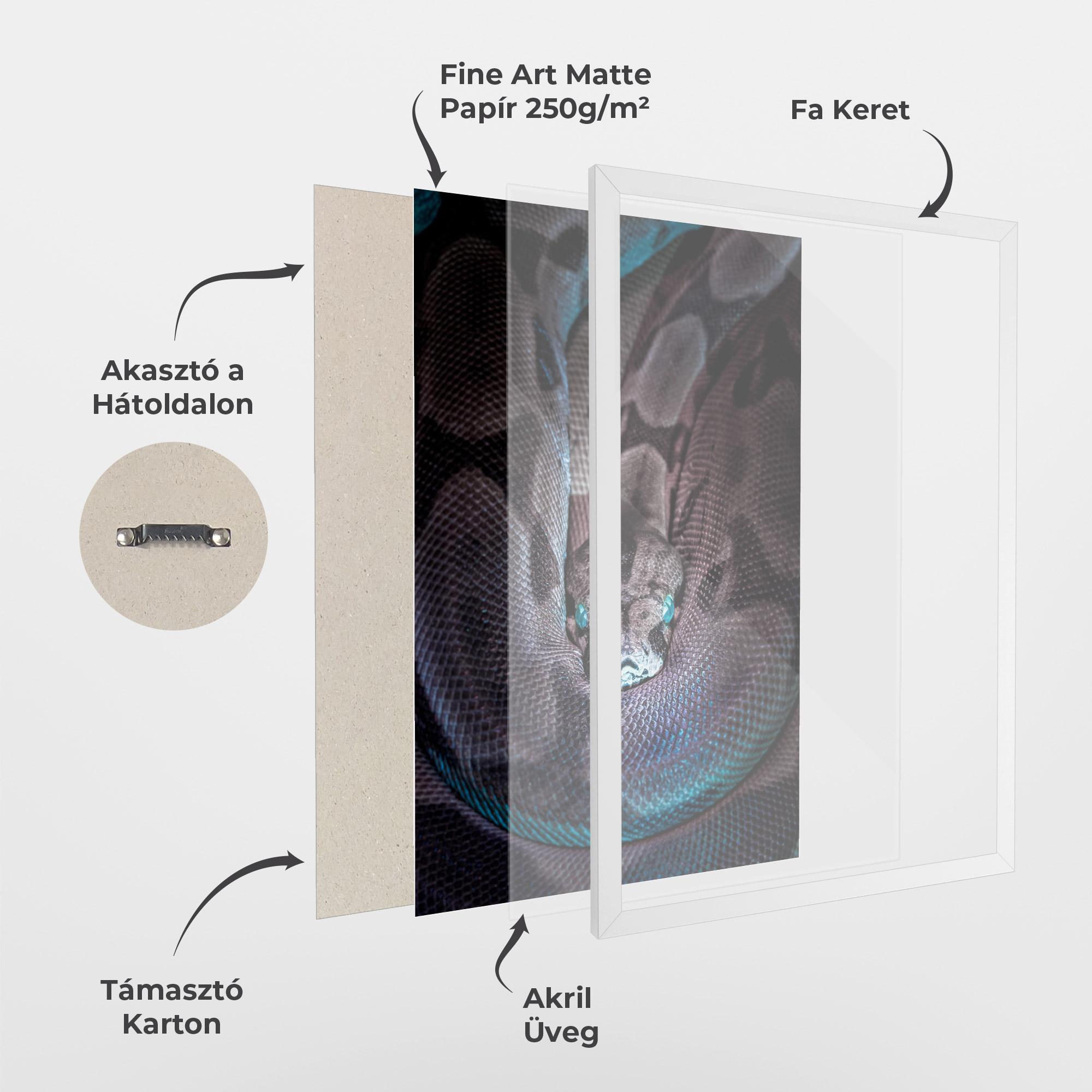 Keretezett Poszter Vibrant Snake mockup 1