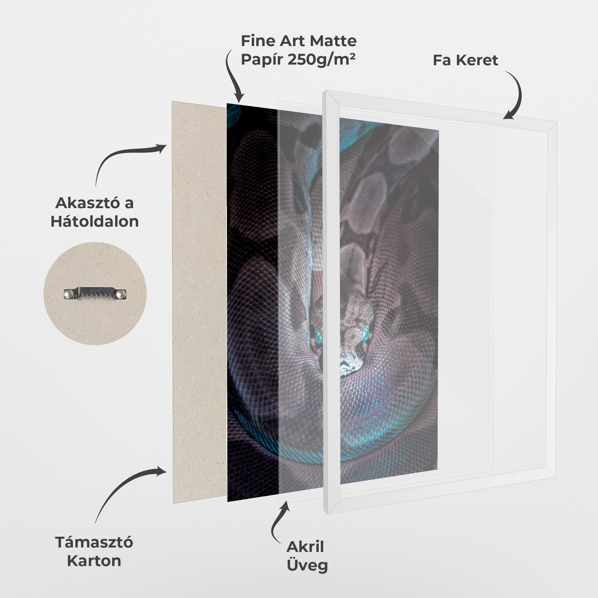 Vibrant Snake mockup 1