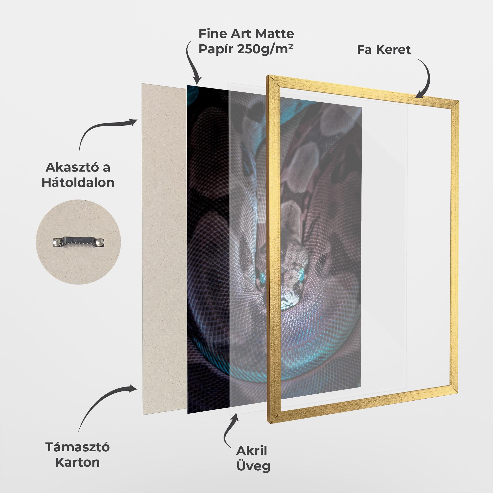 Keretezett Poszter Vibrant Snake mockup 1