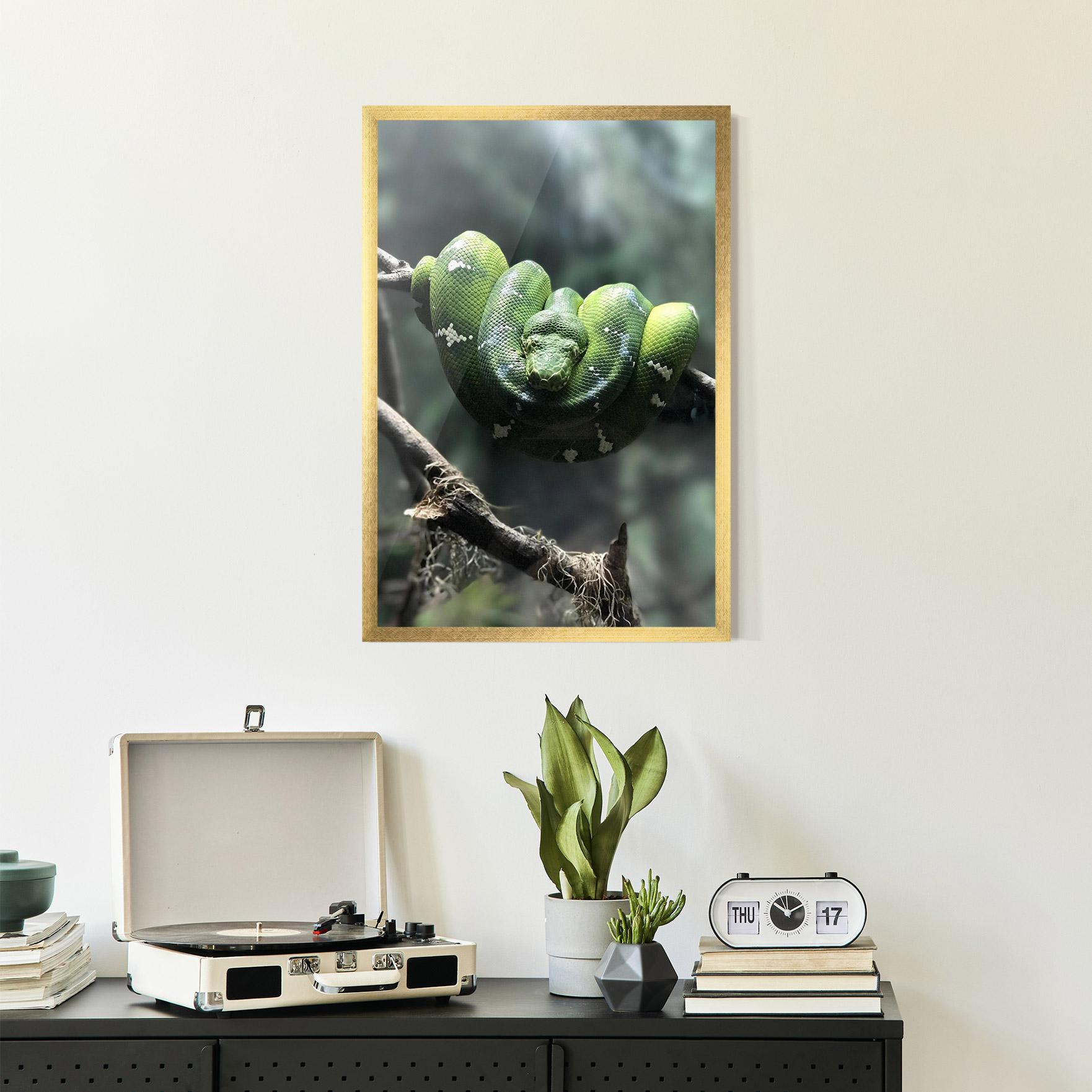 Keretezett Poszter Sleepy Snake mockup 2