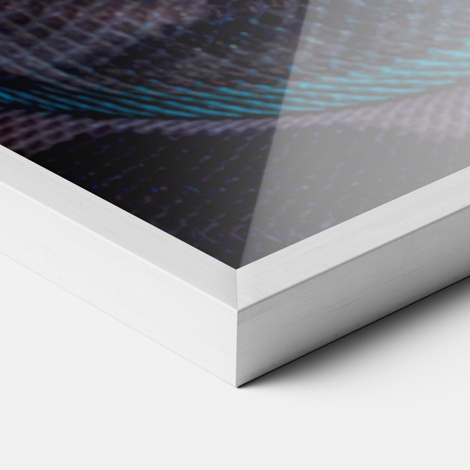 Keretezett Poszter Vibrant Snake mockup 3