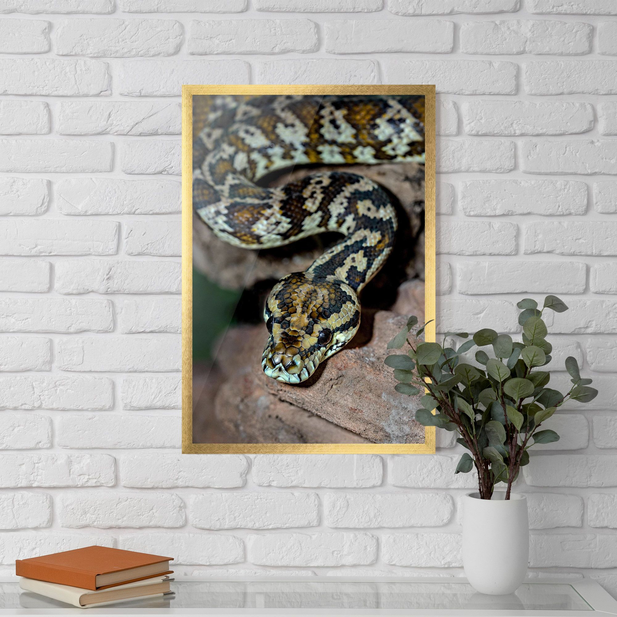 King Snake mockup 5