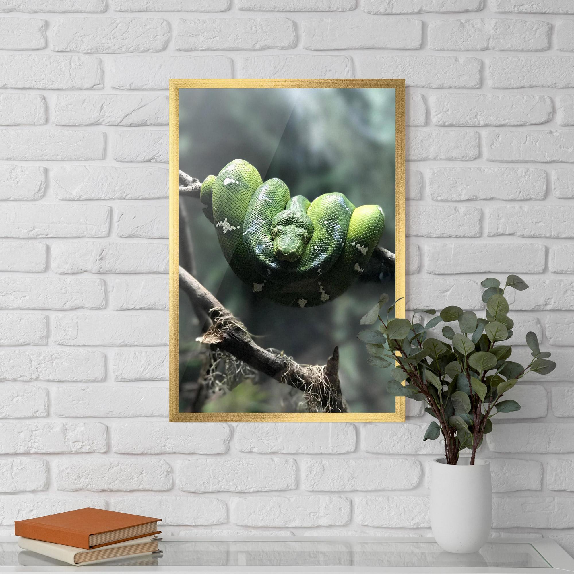 Keretezett Poszter Sleepy Snake mockup 5