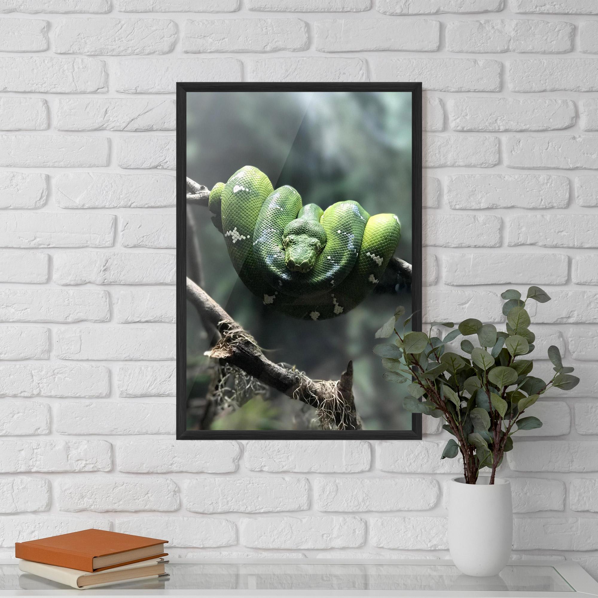 Keretezett Poszter Sleepy Snake mockup 5