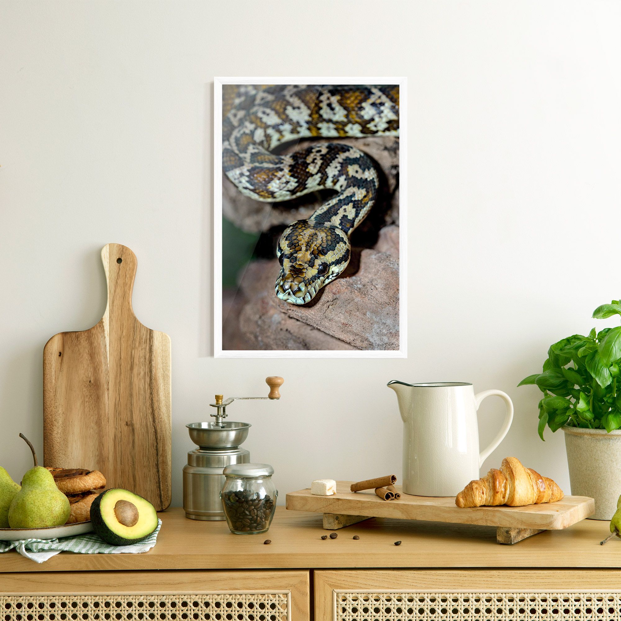 King Snake mockup 8