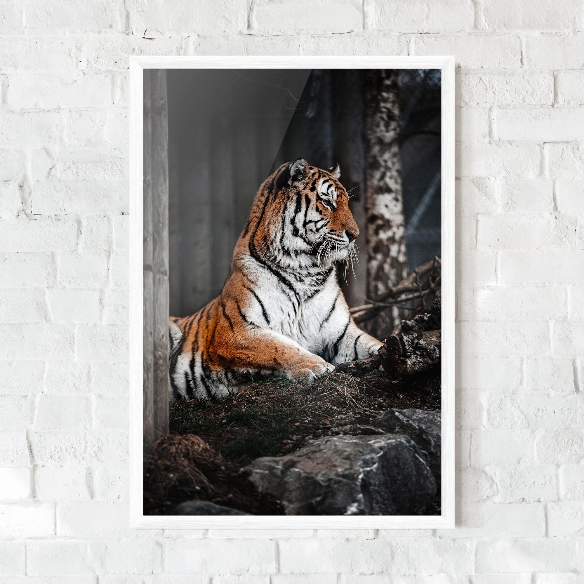 Forest Tiger mockup 0