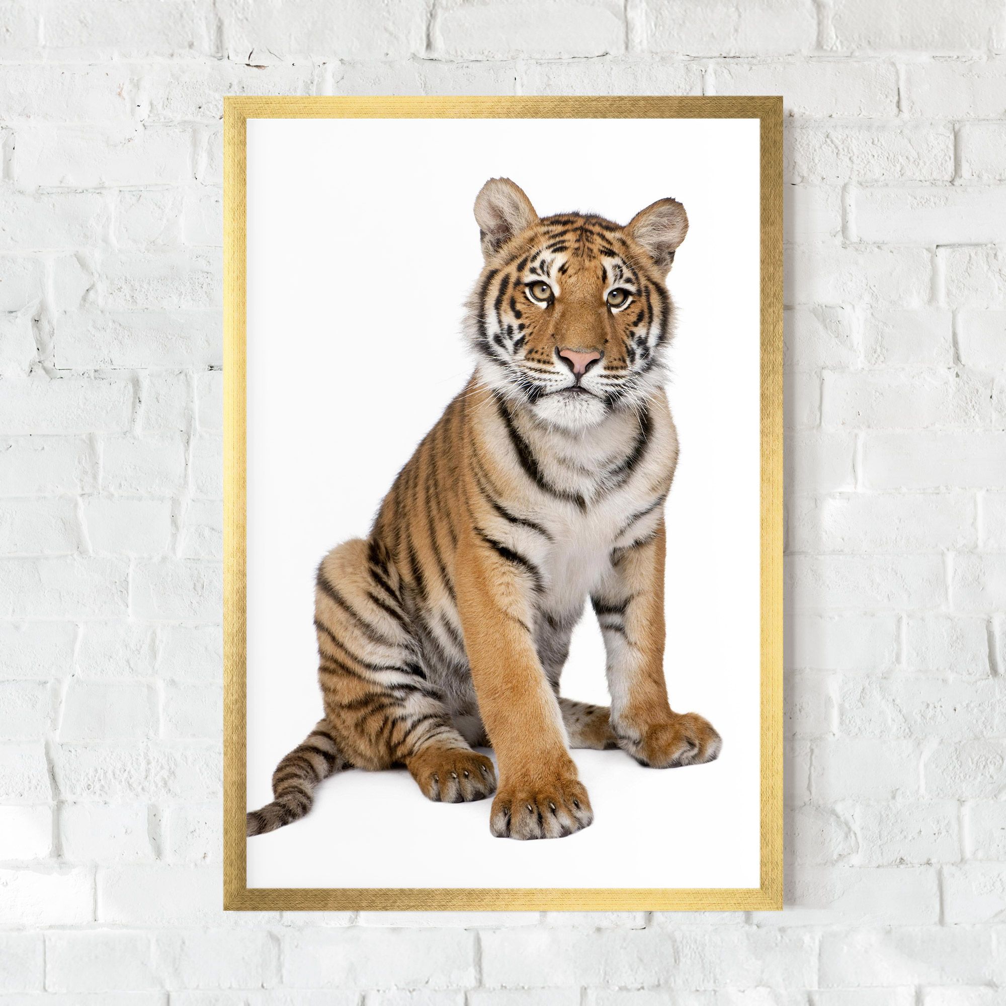 Baby Tiger mockup 0
