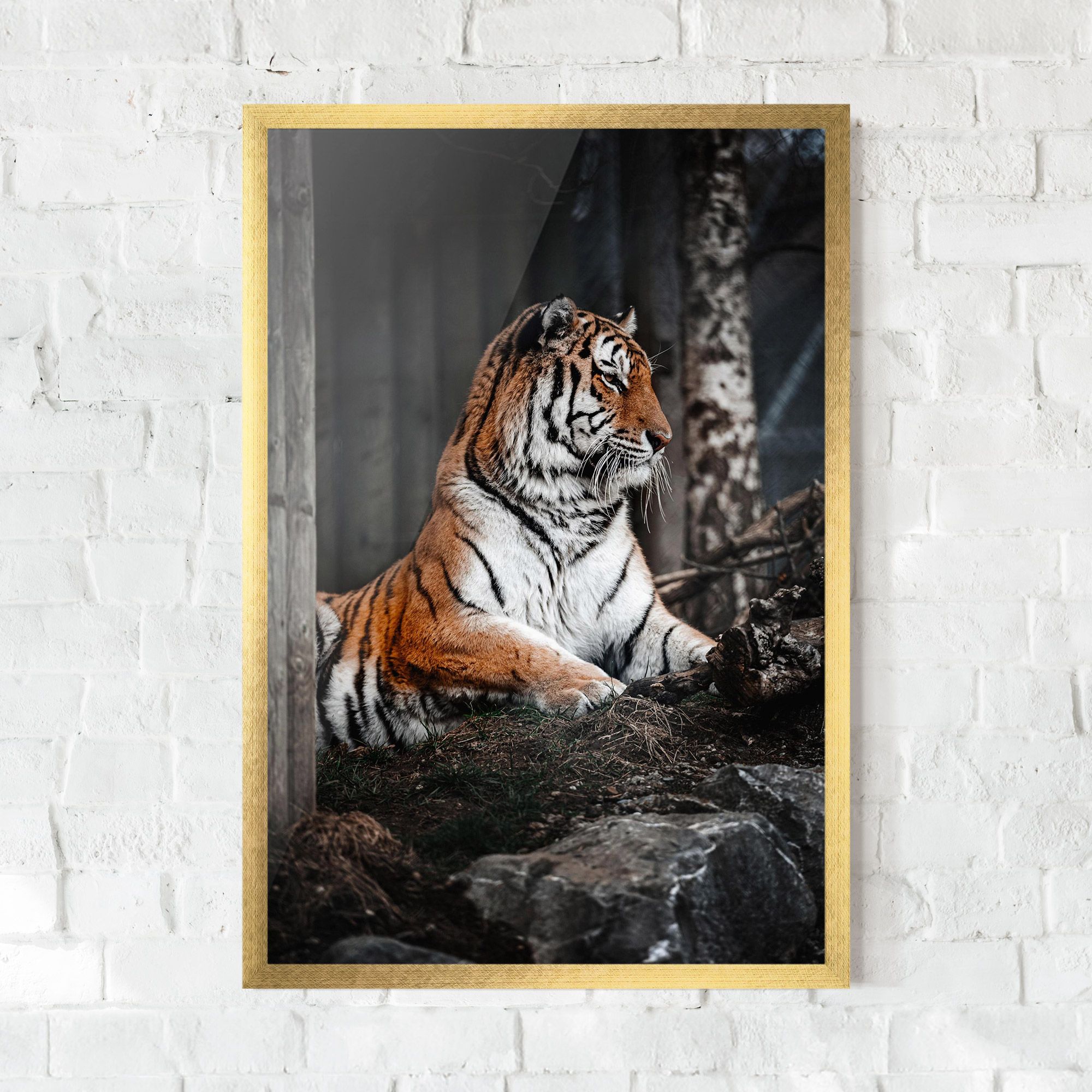 Forest Tiger mockup 0