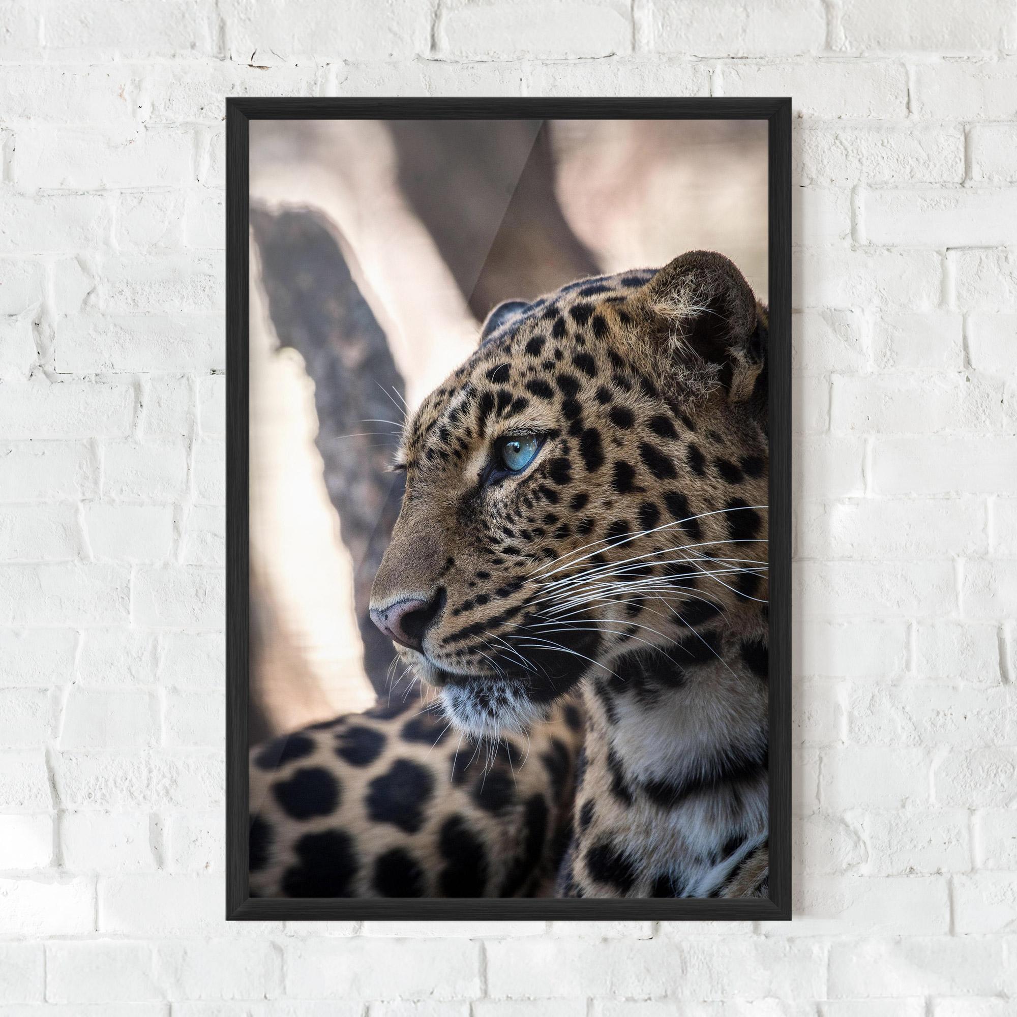 Keretezett Poszter Blue Tiger mockup 0