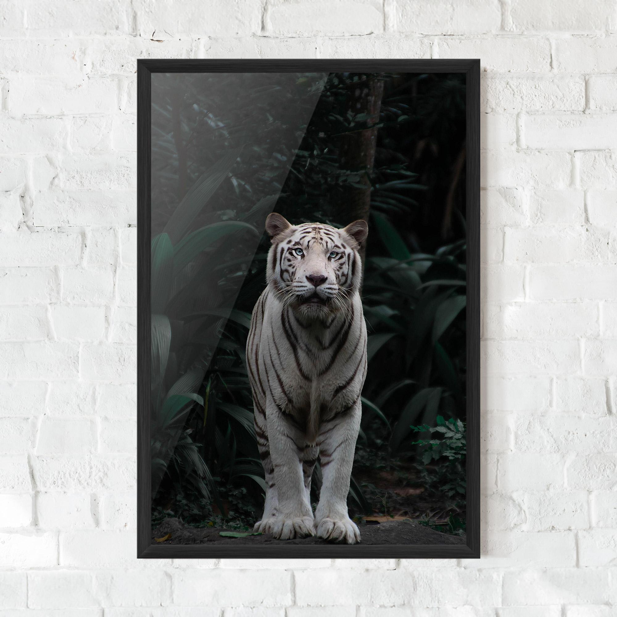Keretezett Poszter White Tiger mockup 0