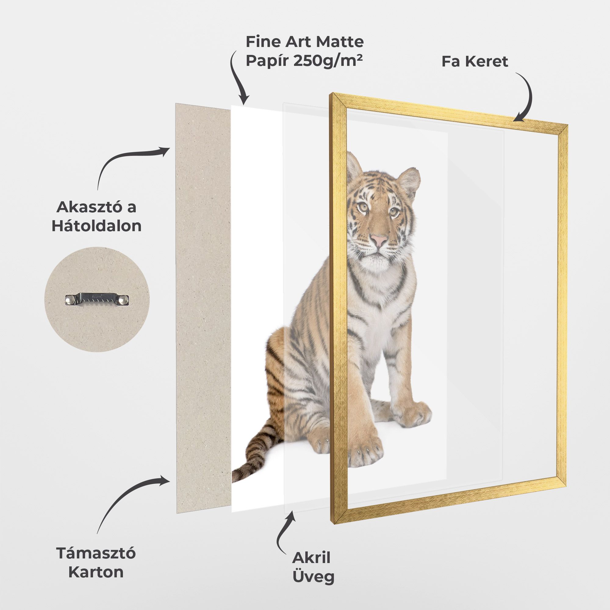 Baby Tiger mockup 1