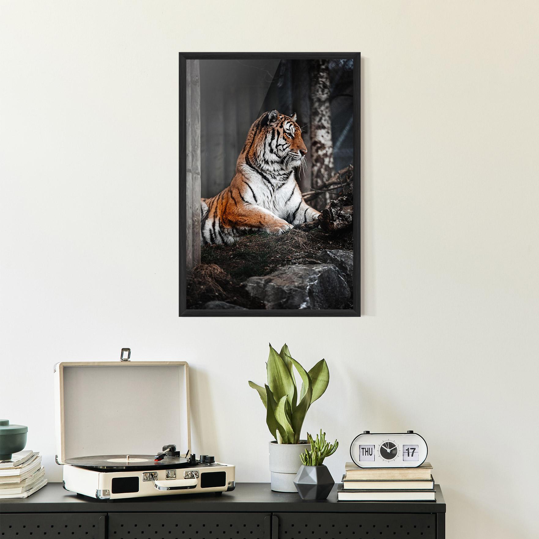 Keretezett Poszter Forest Tiger mockup 2