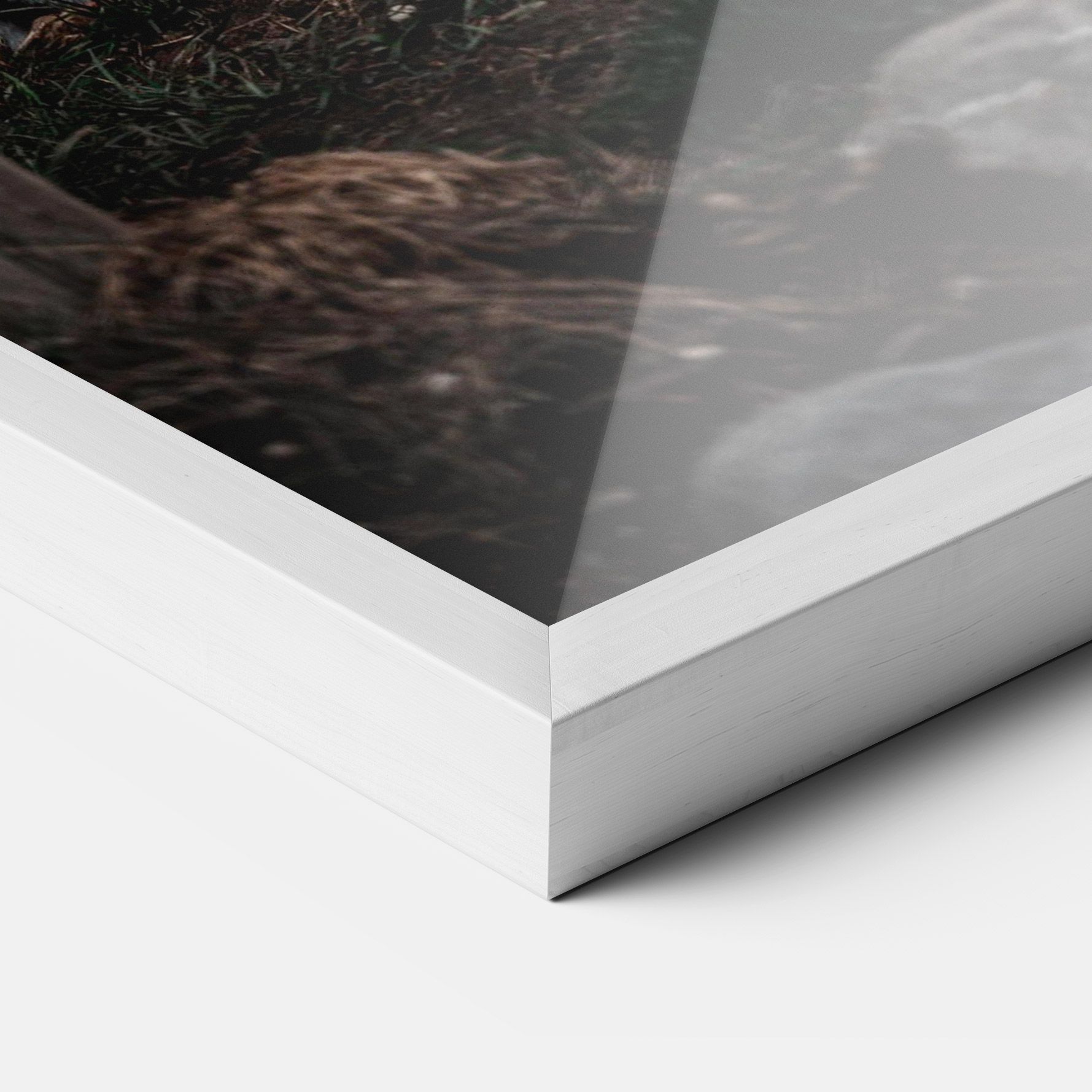 Forest Tiger mockup 3