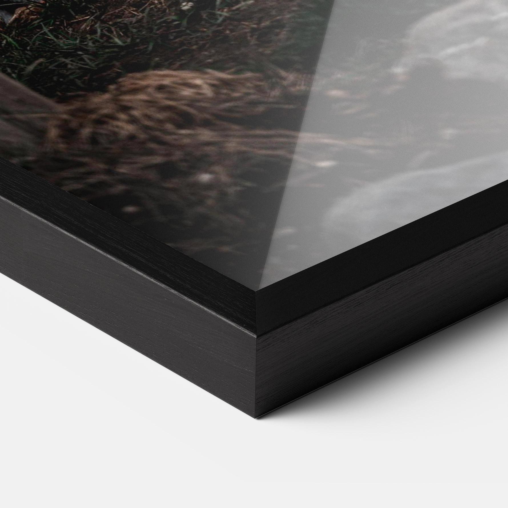 Keretezett Poszter Forest Tiger mockup 3