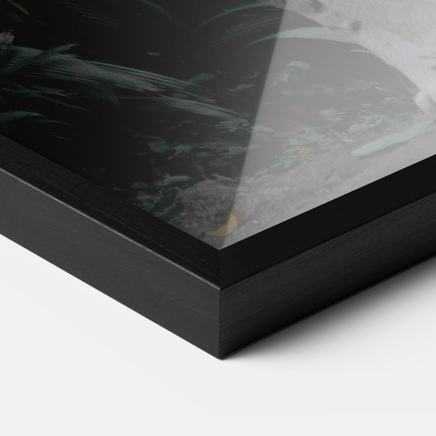 Keretezett Poszter White Tiger mockup 3