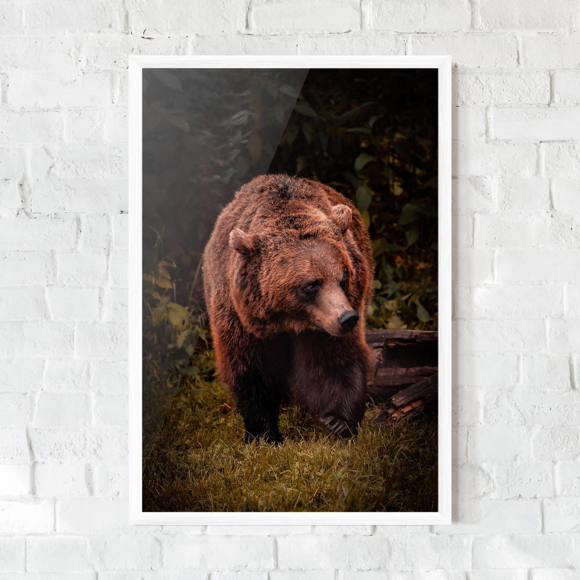 Keretezett Poszter Brown Bear mockup 0